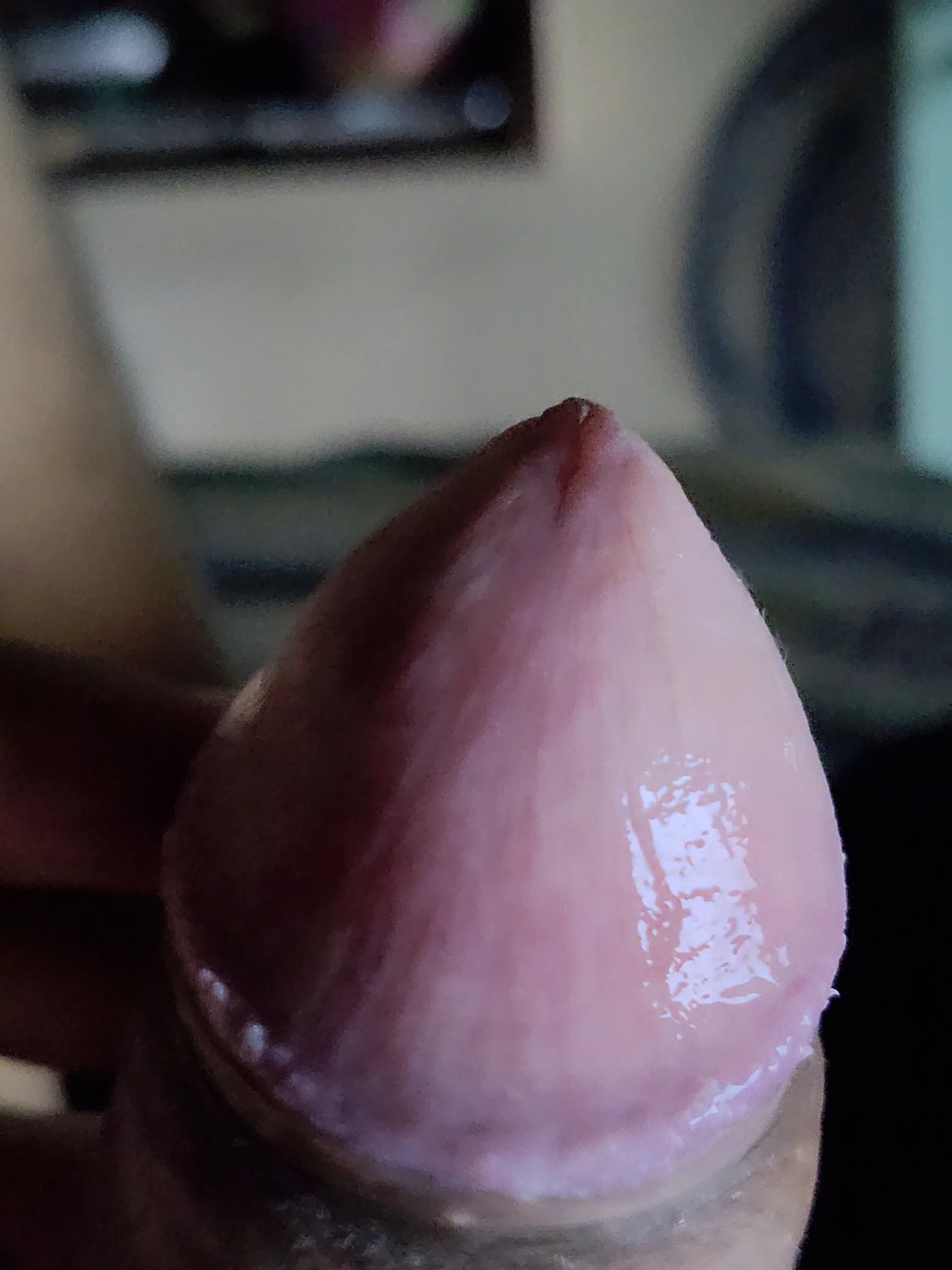 XXX Porn Photo of Nude Aarav12330 3