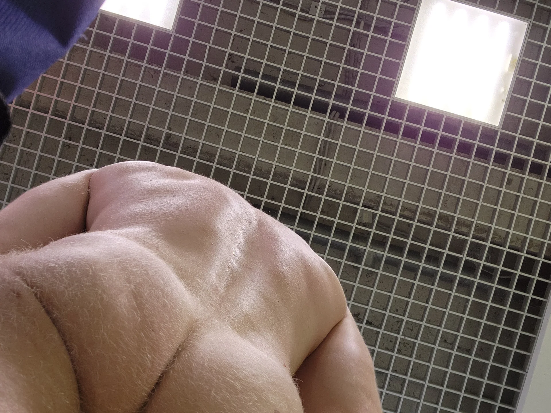 XXX Porn Photo of Nude Gingerbeard40 38
