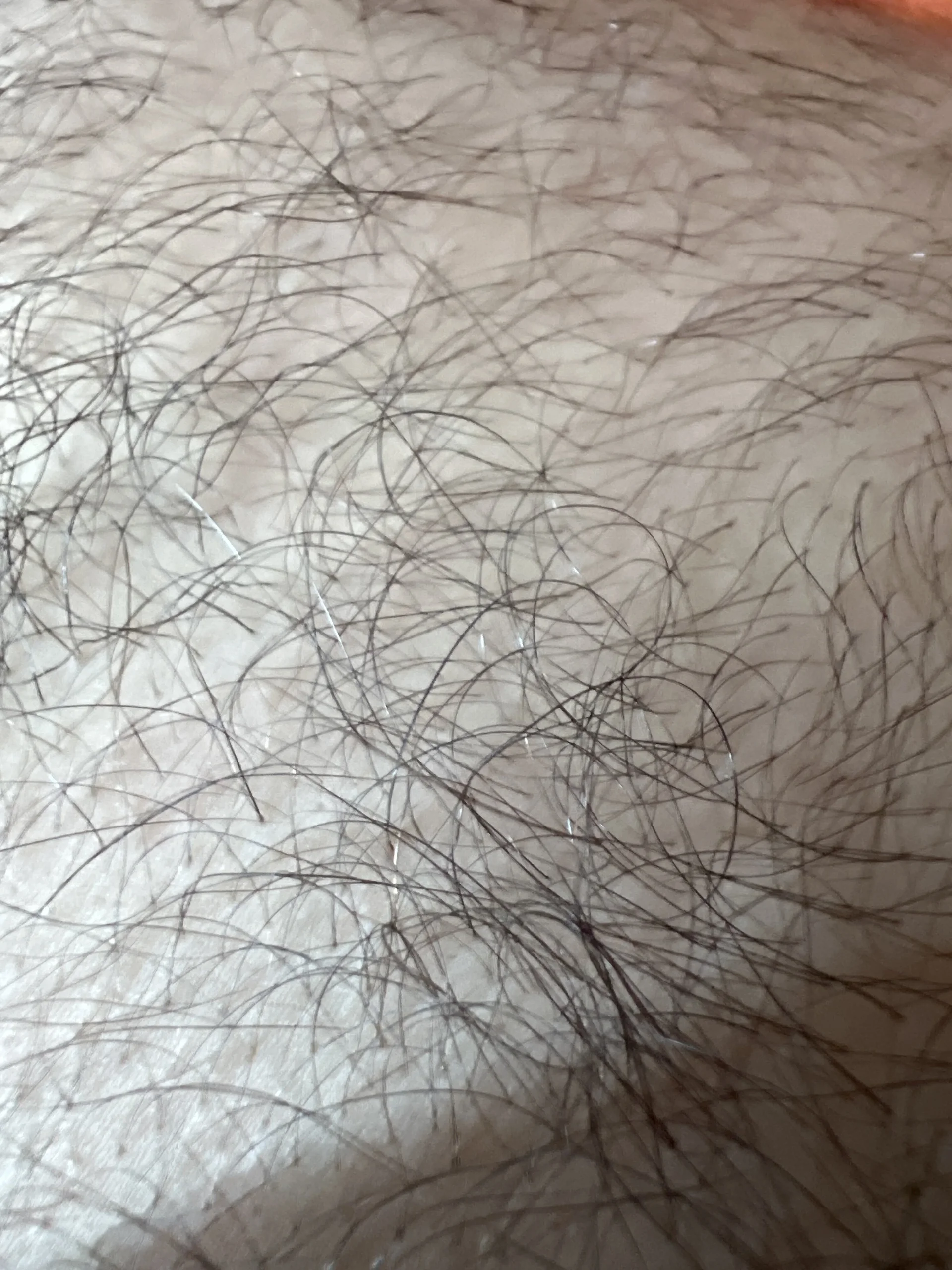 XXX Porn Photo of Nude uomocazzo 3