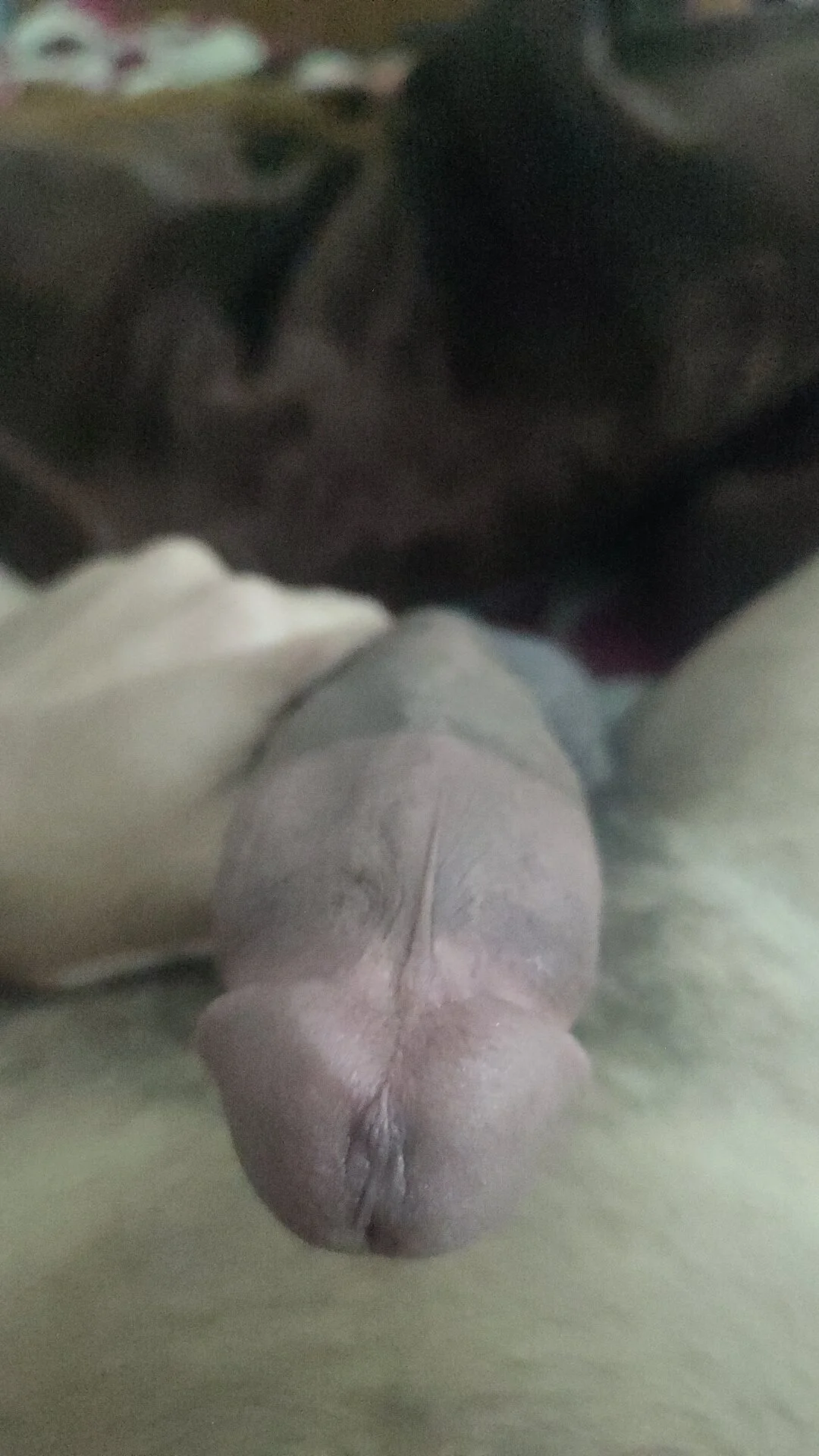 XXX Porn Photo of Nude amirMohamed58 3