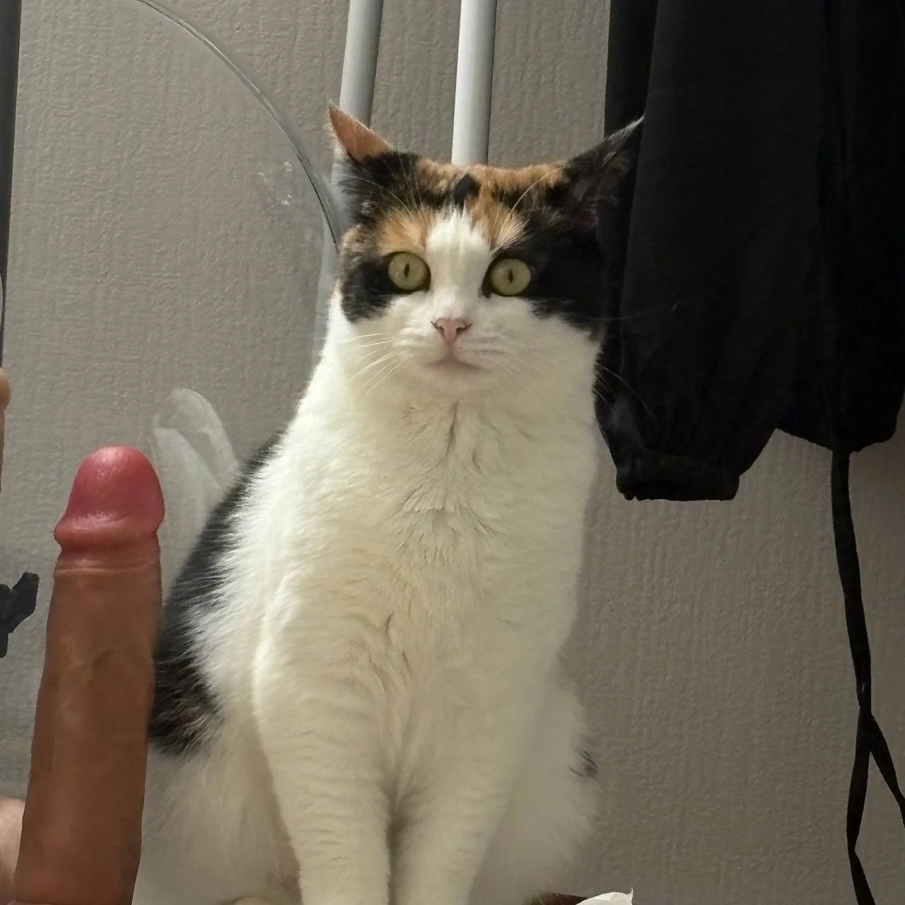 XXX Porn Photo of Nude violetviolator 30
