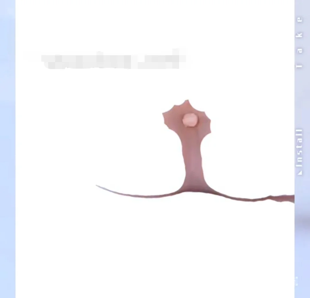 XXX Porn Photo of Nude -naked-ovo 6