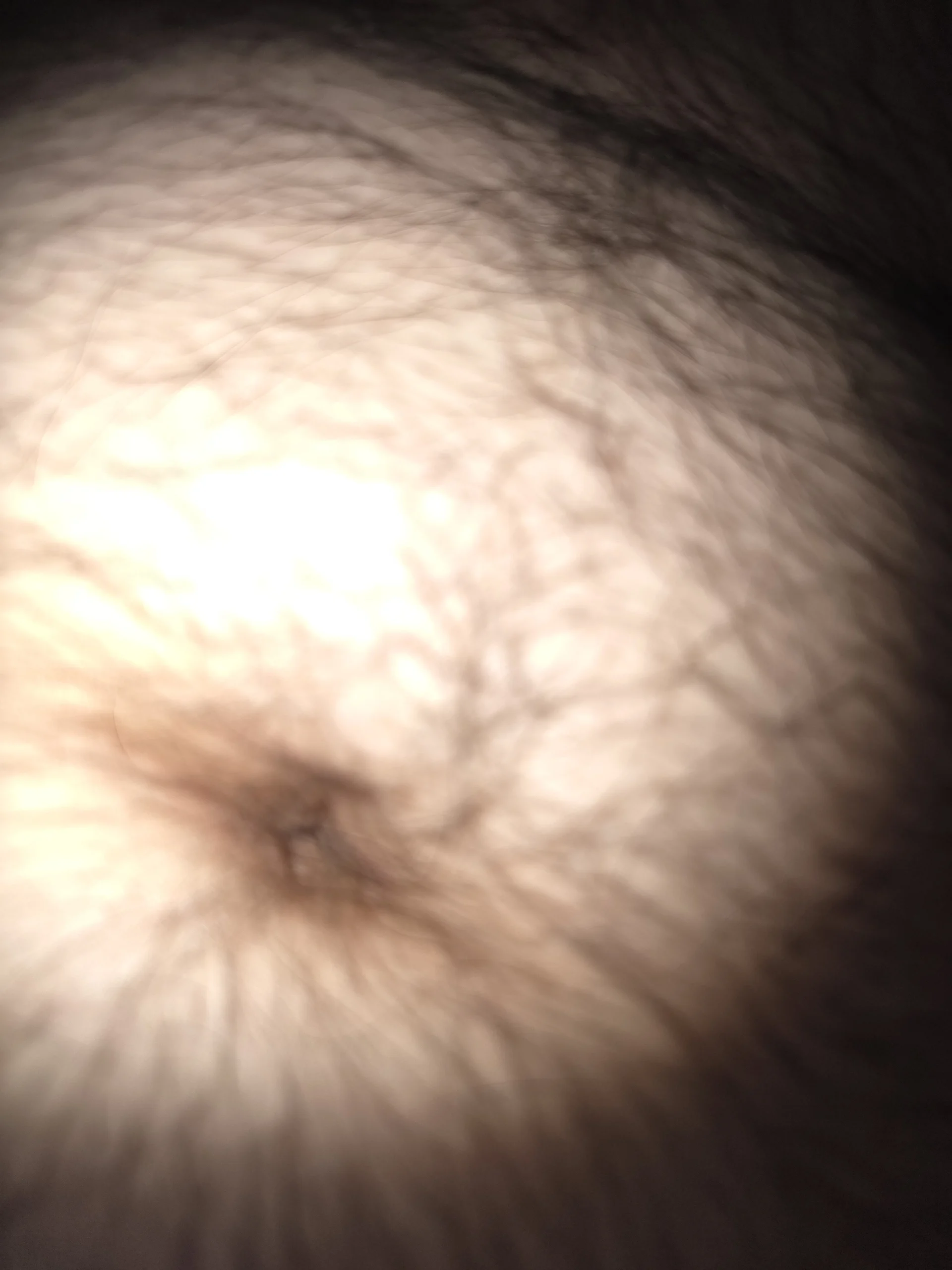 XXX Porn Photo of Nude Nizza0104 3