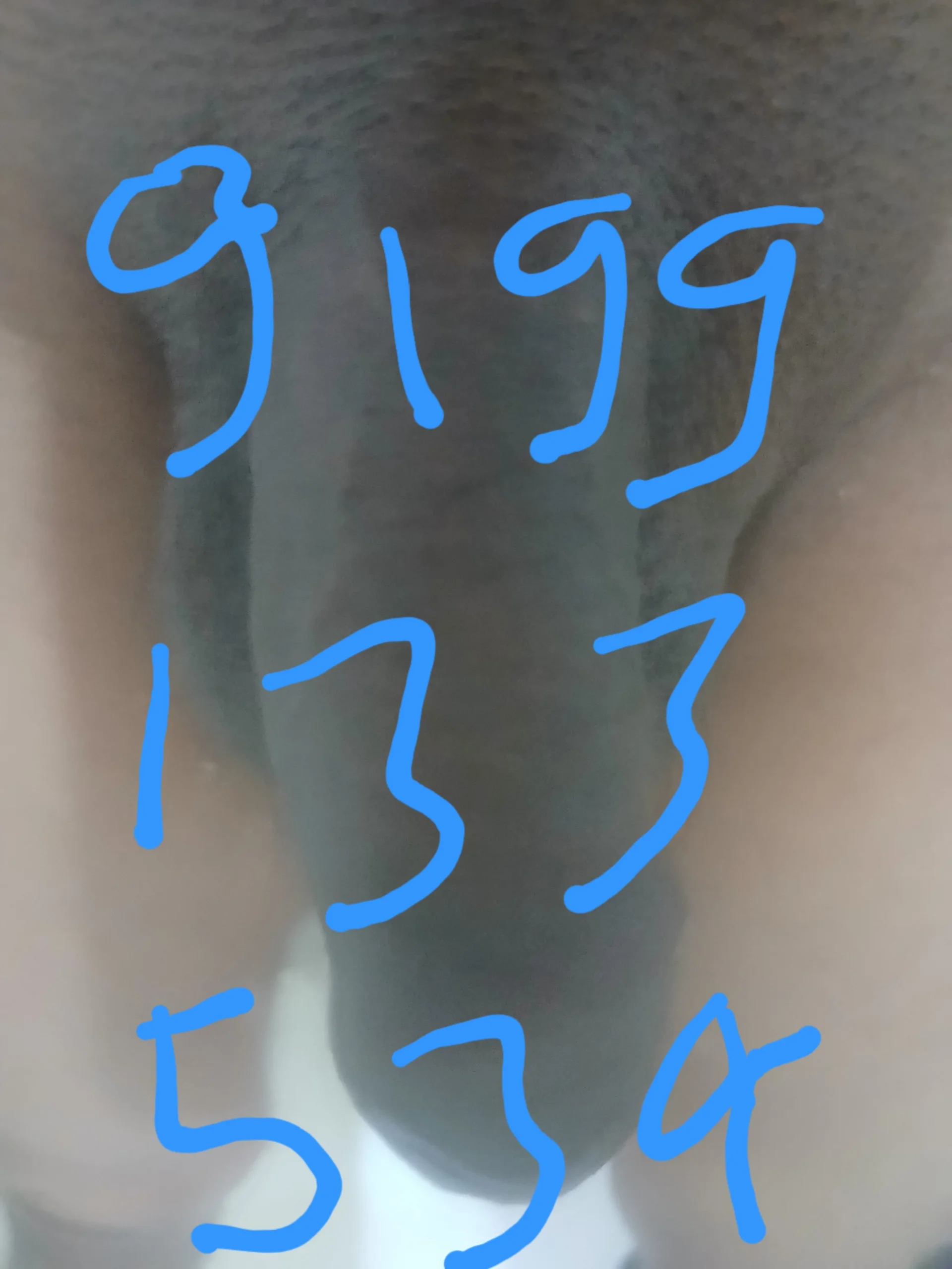 XXX Porn Photo of Nude salmanshkh 2