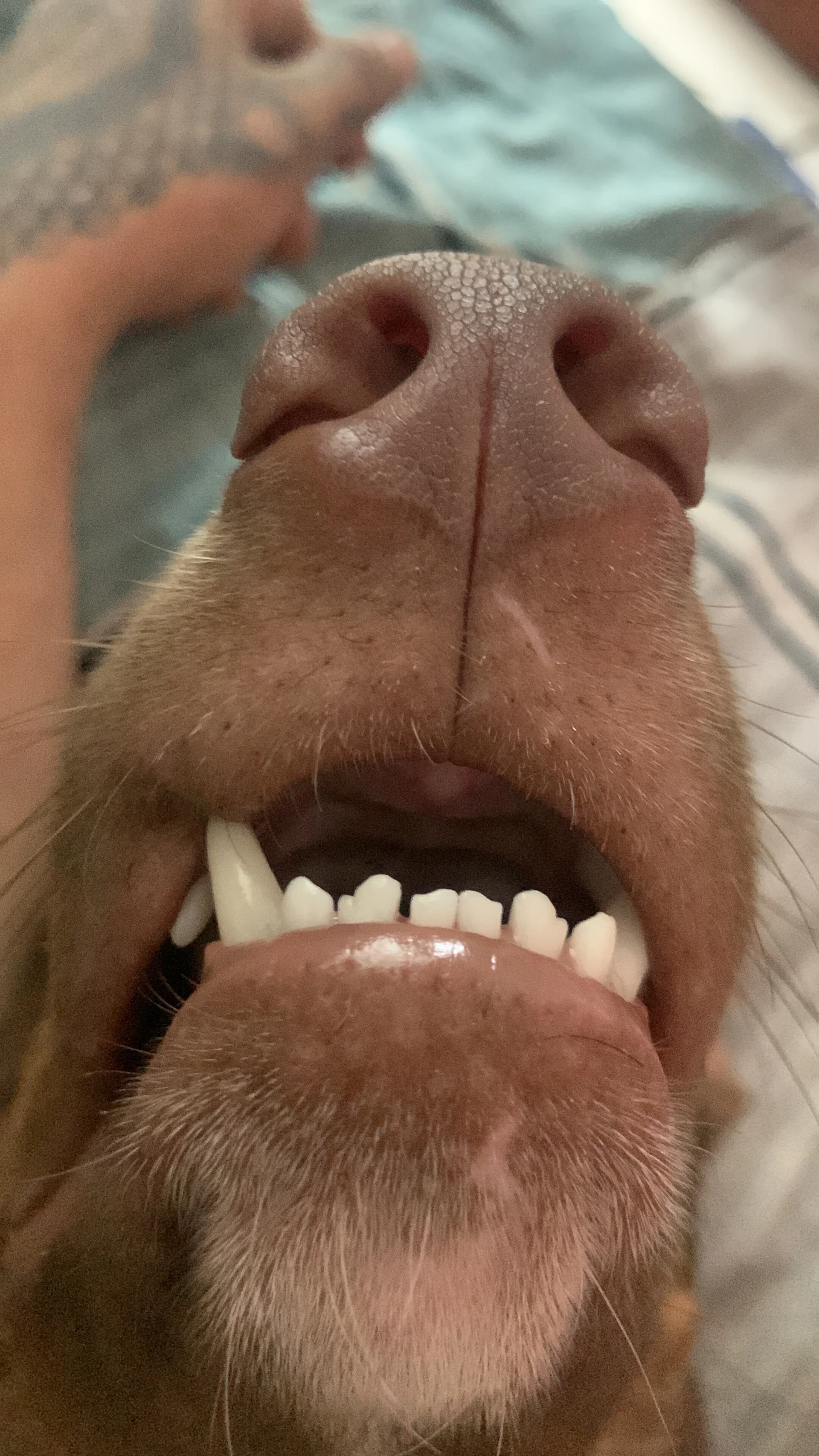XXX Porn Photo of Nude Lord_Luciferhot_Dirty666 111