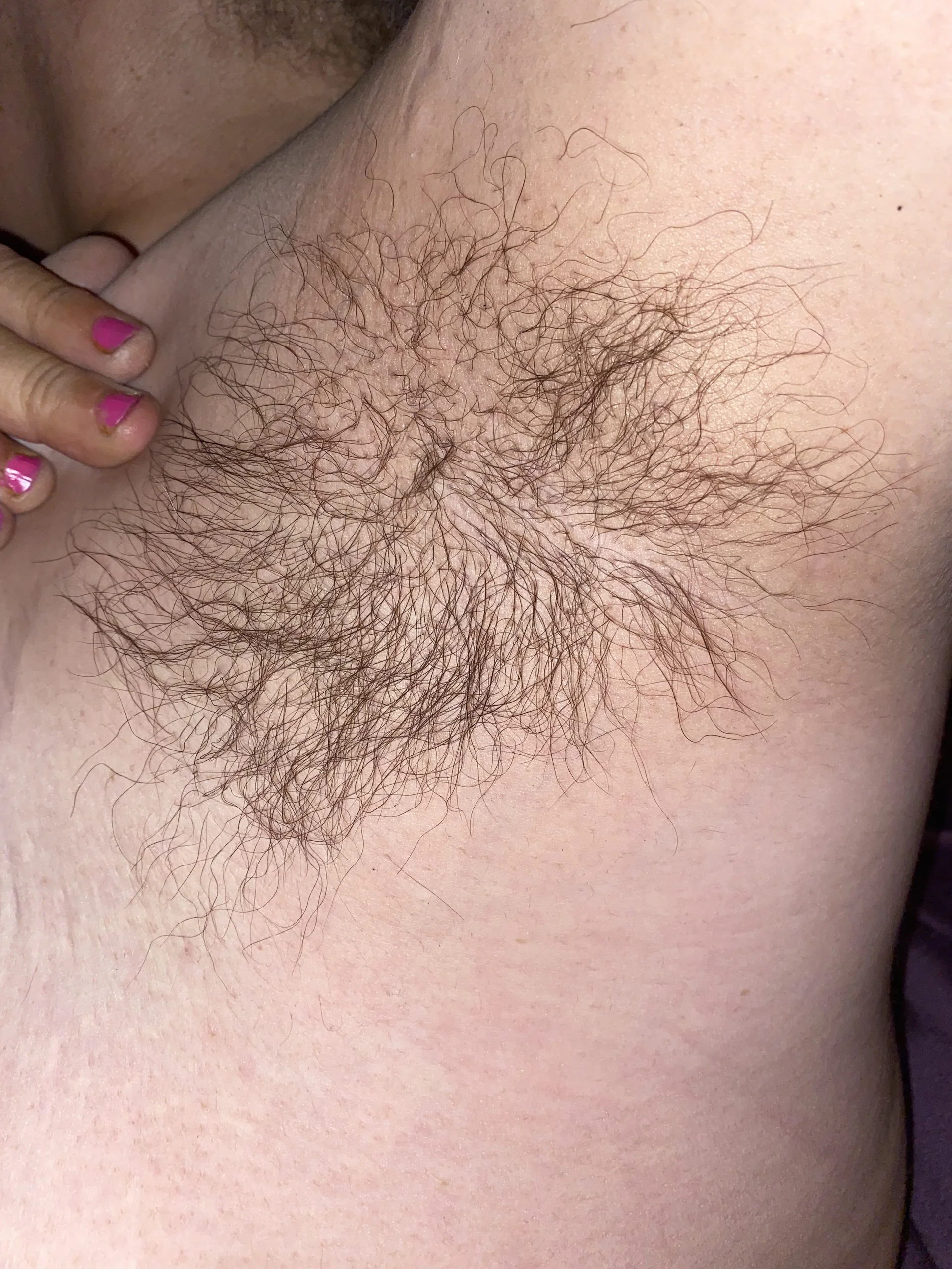 XXX Porn Photo of Nude Nice_n_hairy580 26