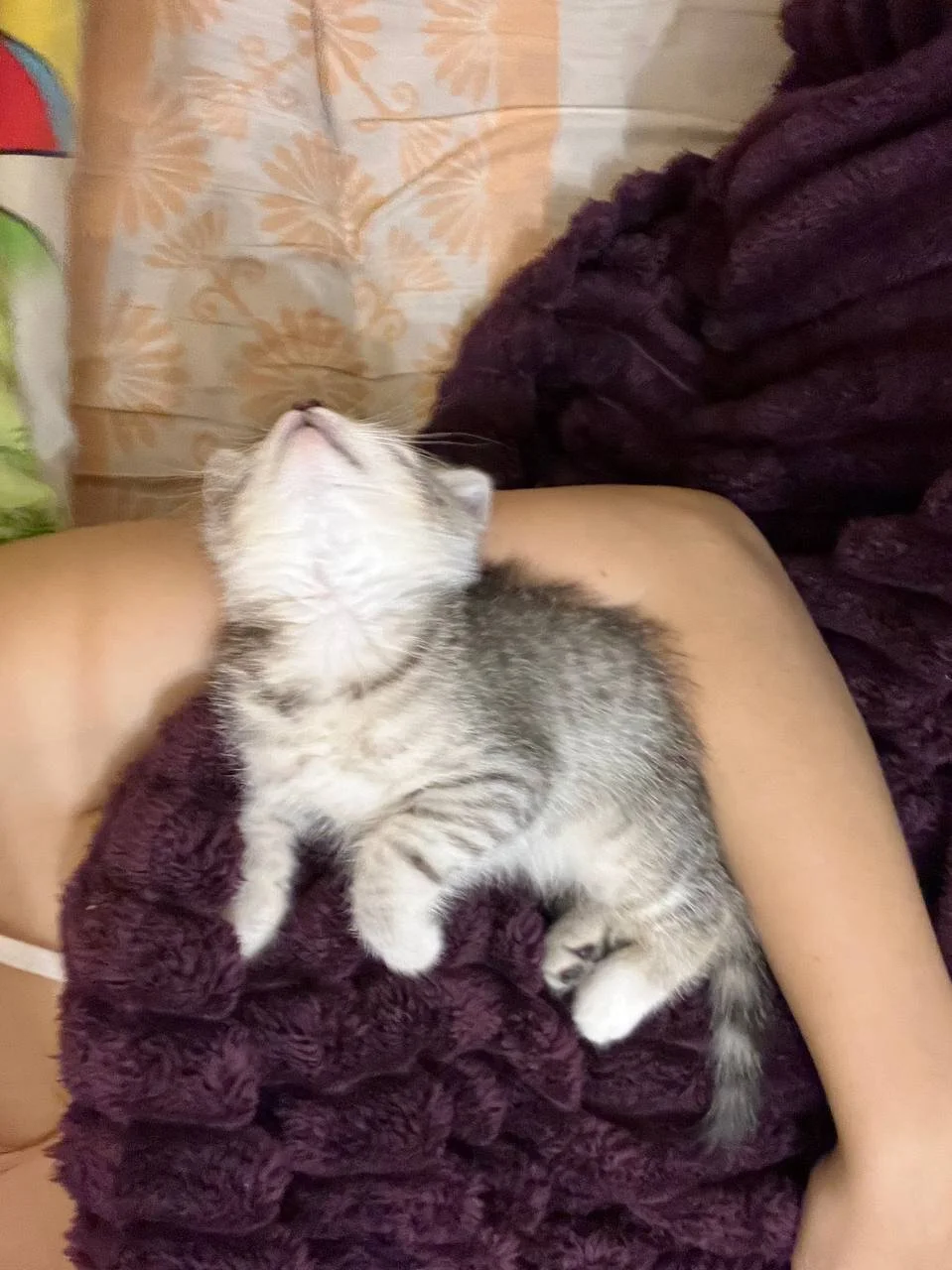 XXX Porn Photo of Nude EvaThopson 69