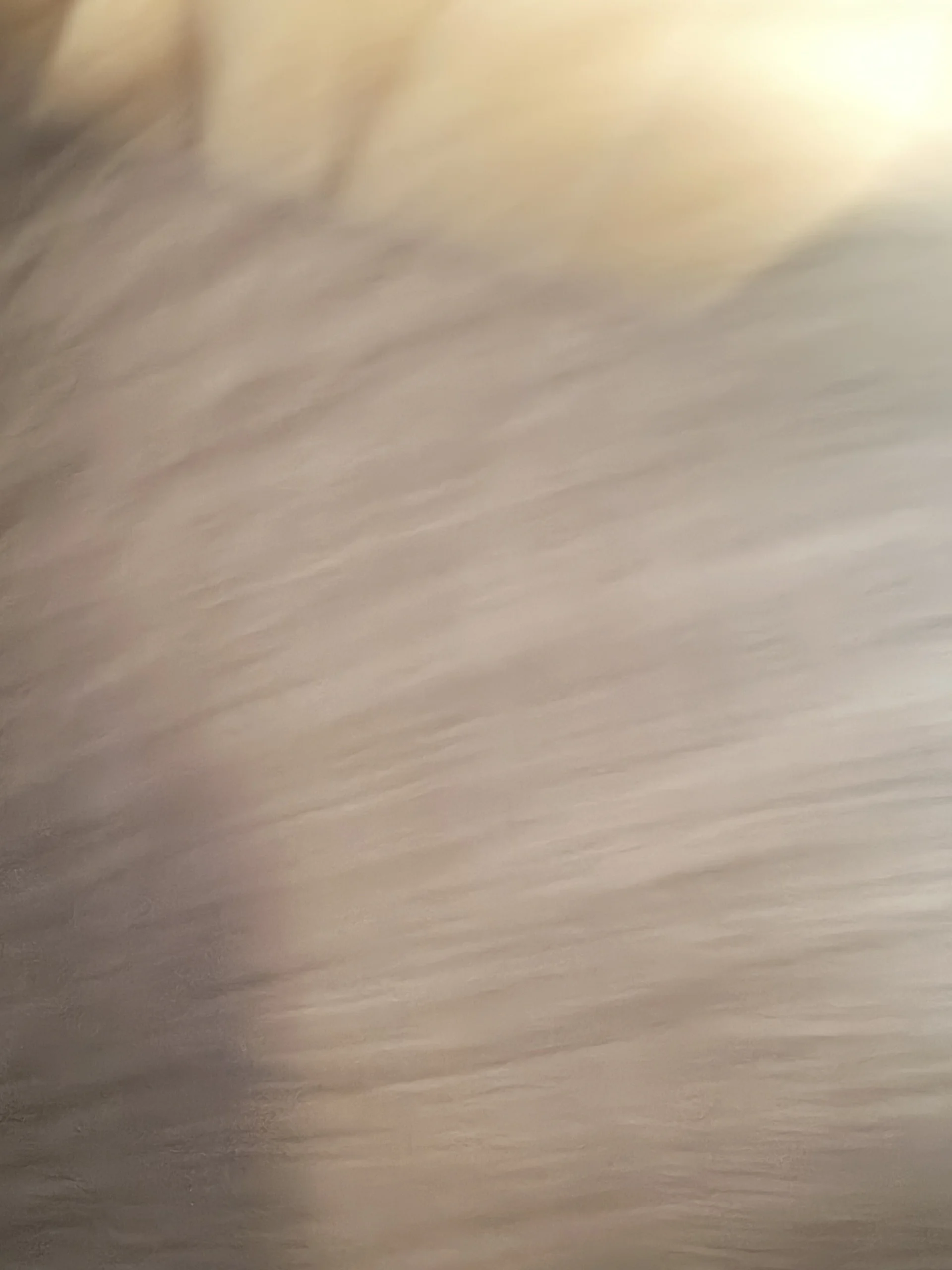 XXX Porn Photo of Nude Bigdave172 3