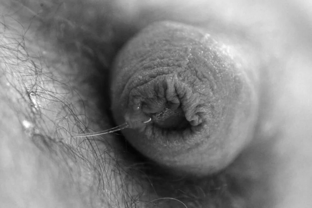 XXX Porn Photo of Nude Penis_Game 8