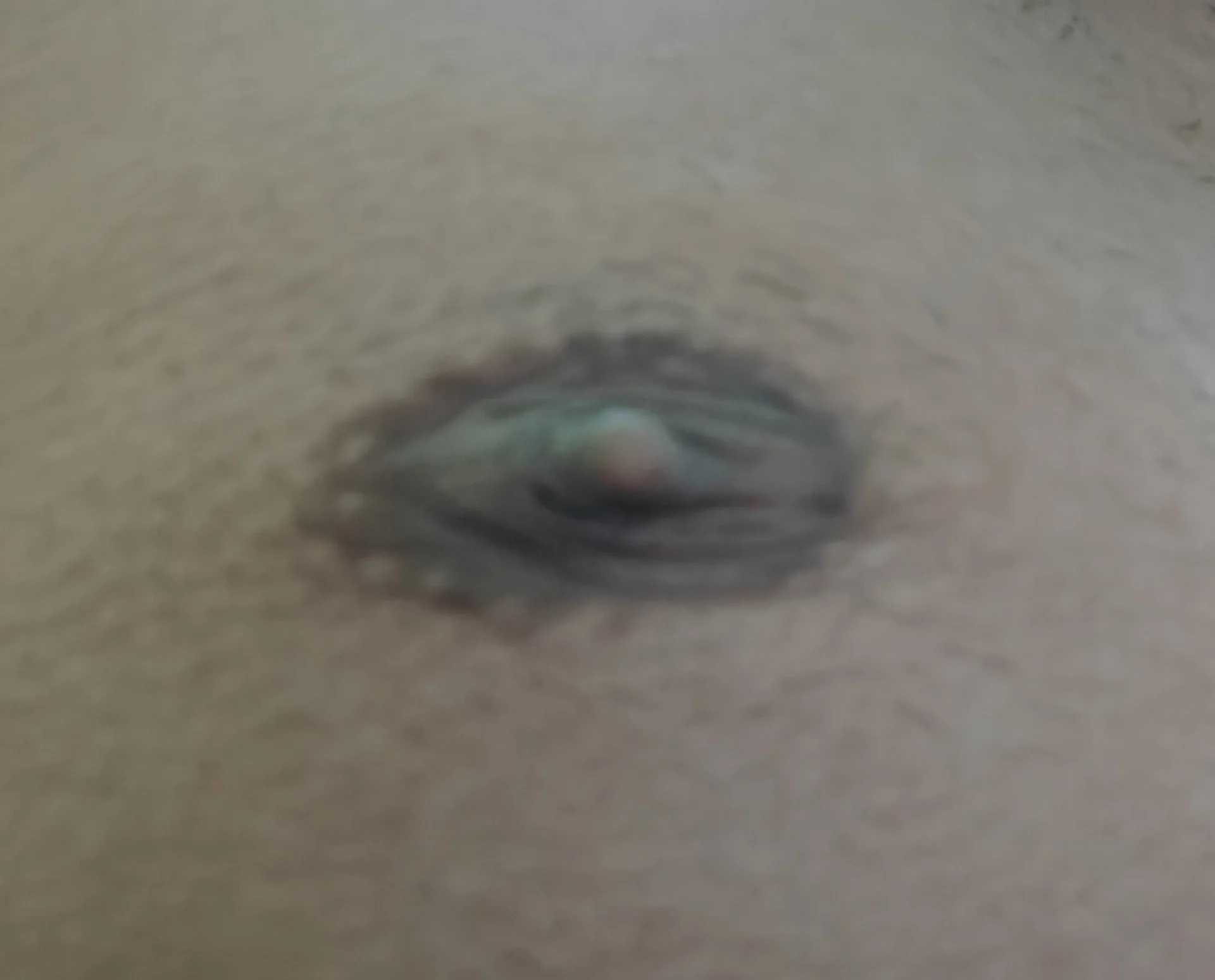 XXX Porn Photo of Nude greenzorawar 13