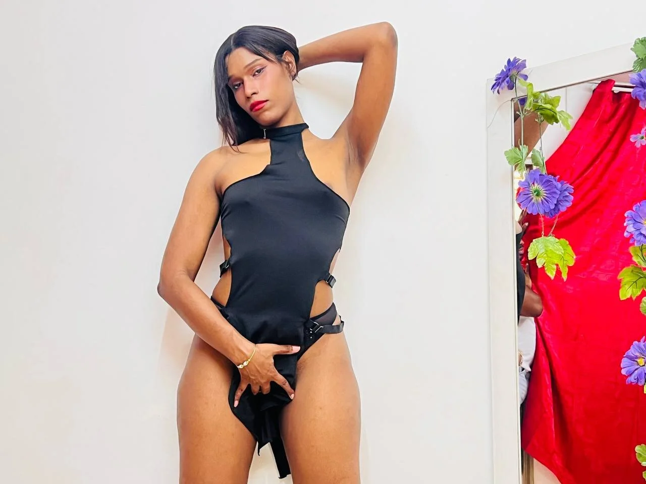 XXX Porn Photo of Nude AlanaCruzTS 4