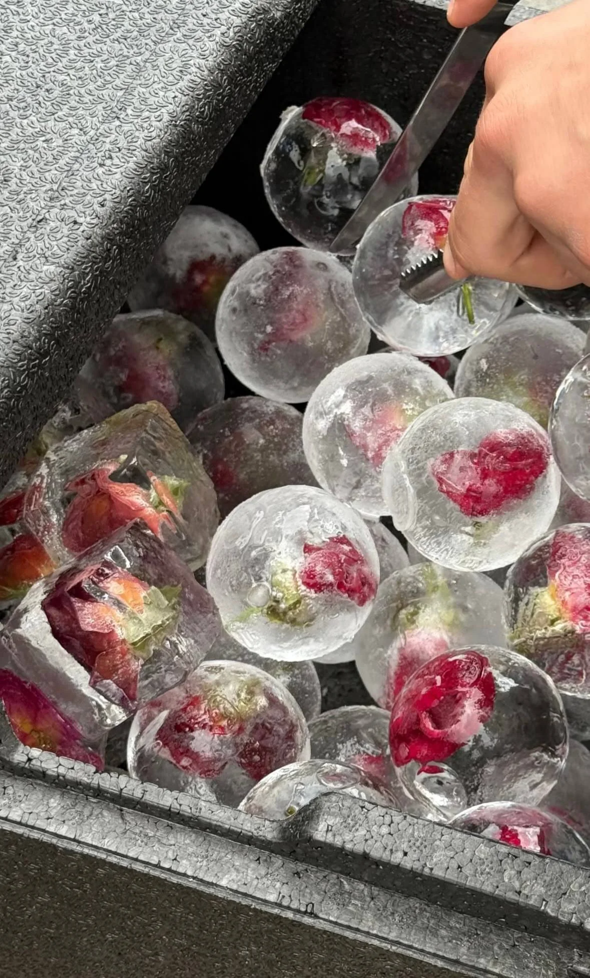 XXX Porn Photo of Nude Mia_shy1 66