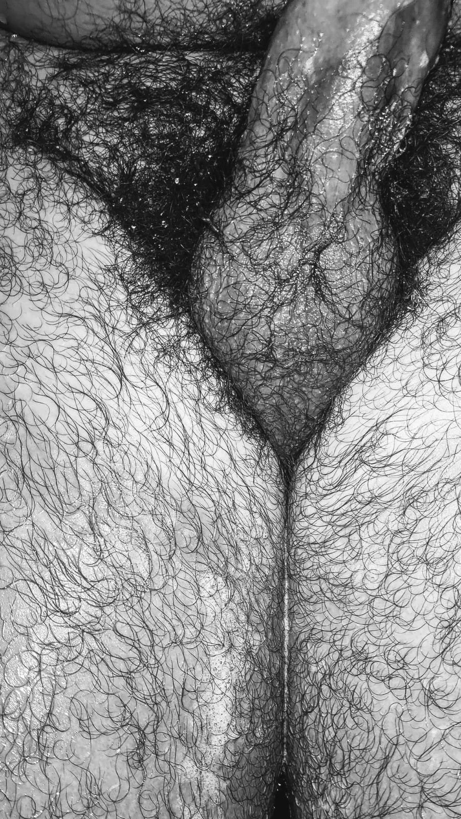 XXX Porn Photo of Nude big__bearrr 79