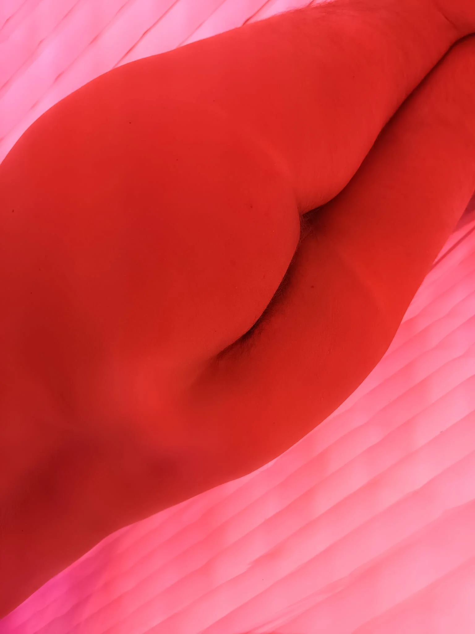 XXX Porn Photo of Nude Goa-Head-Chris 3