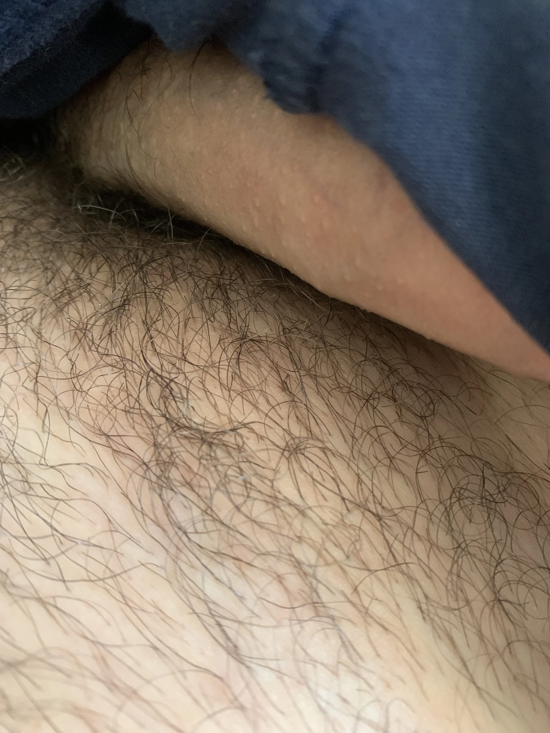 XXX Porn Photo of Nude dcamhunt_ 3