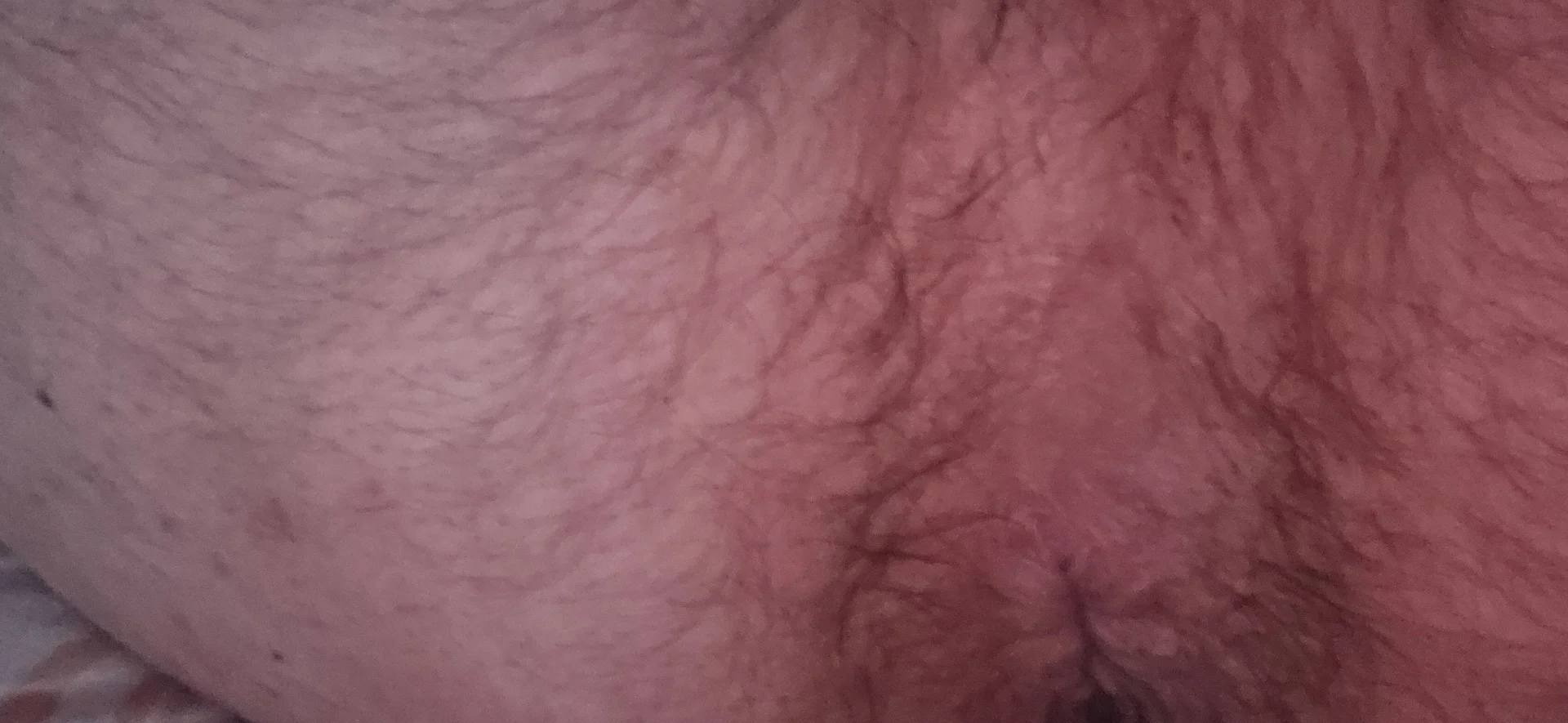 XXX Porn Photo of Nude joserolabitas 3