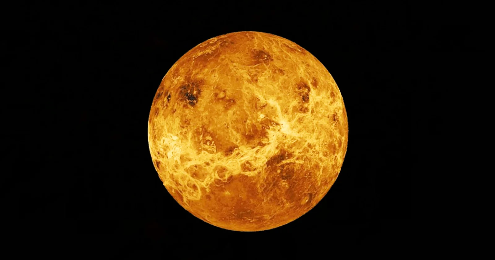XXX Porn Photo of Nude sdssssadasdd 1