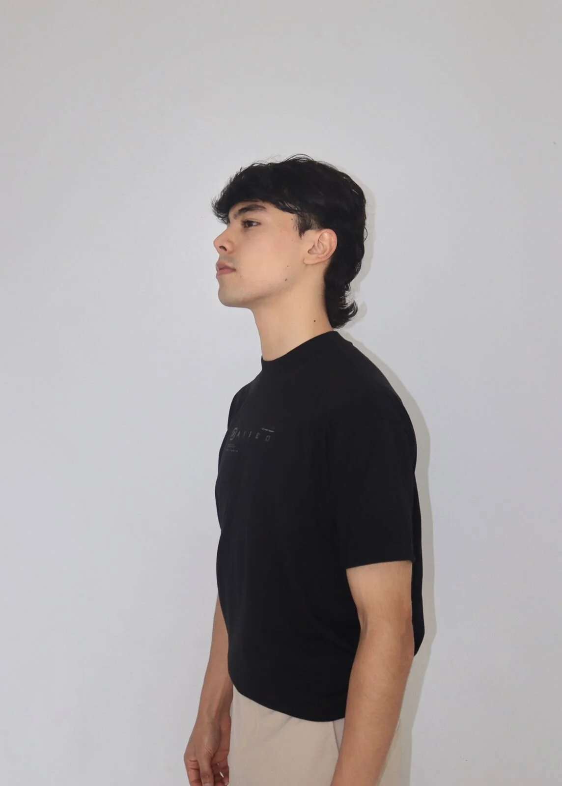 Dammon_Stallion