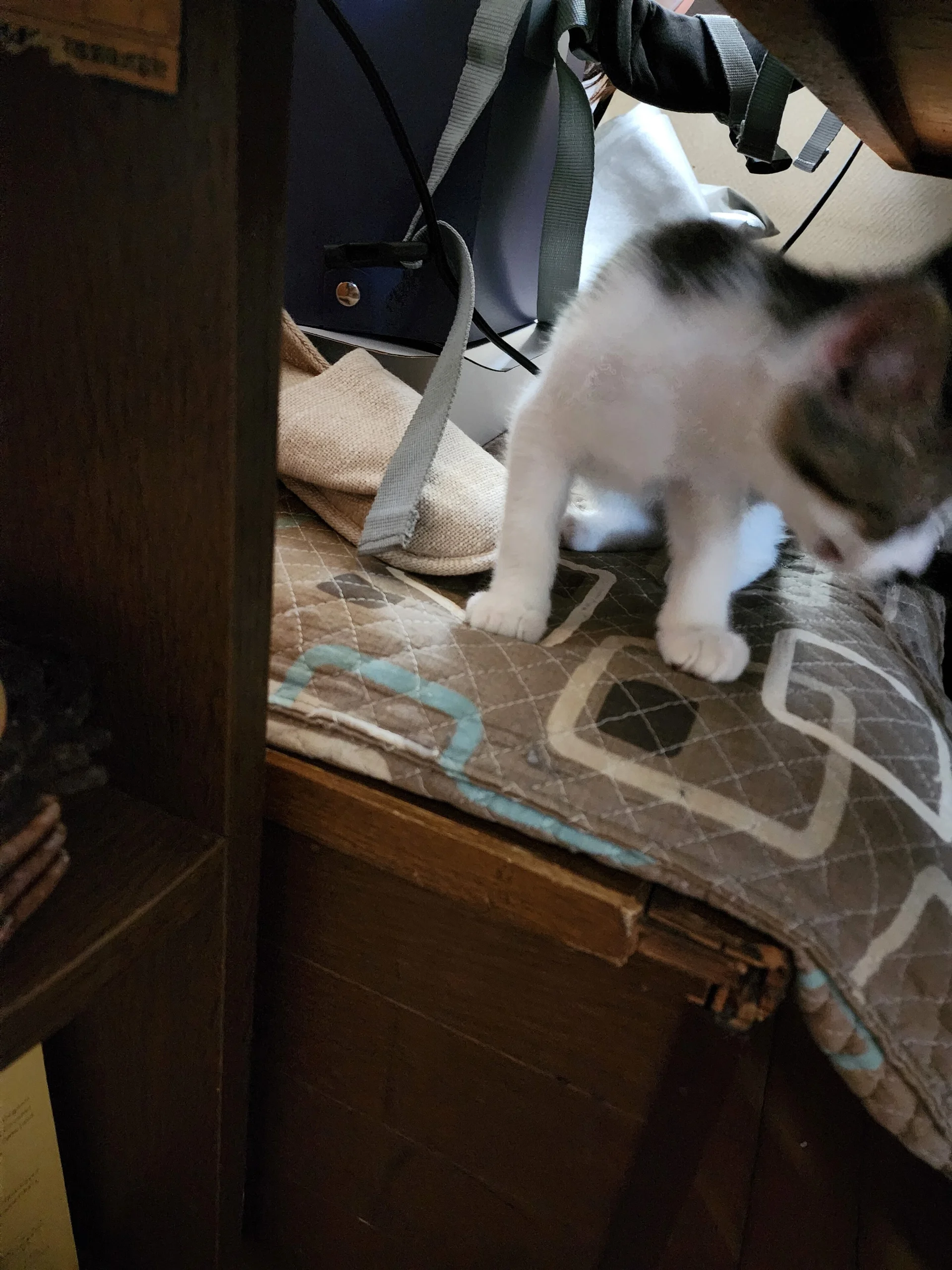 XXX Porn Photo of Nude 07YUKIO 9