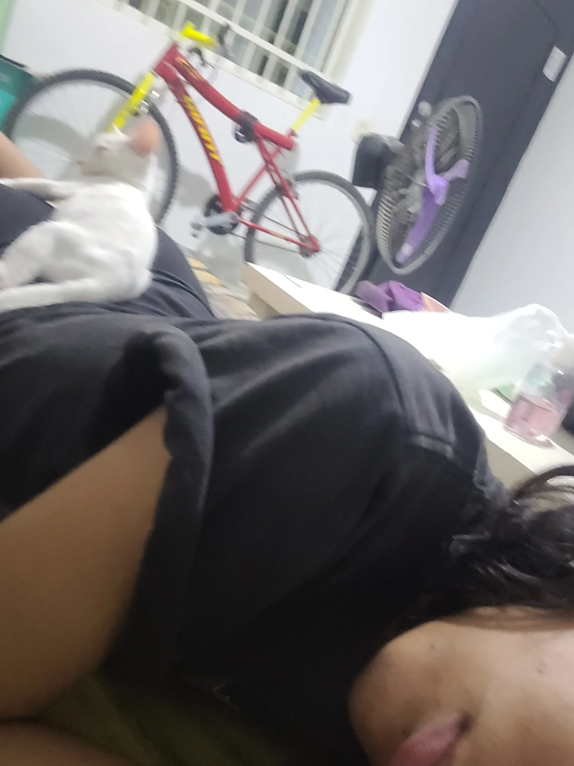 XXX Porn Photo of Nude Lovelyamyy 10