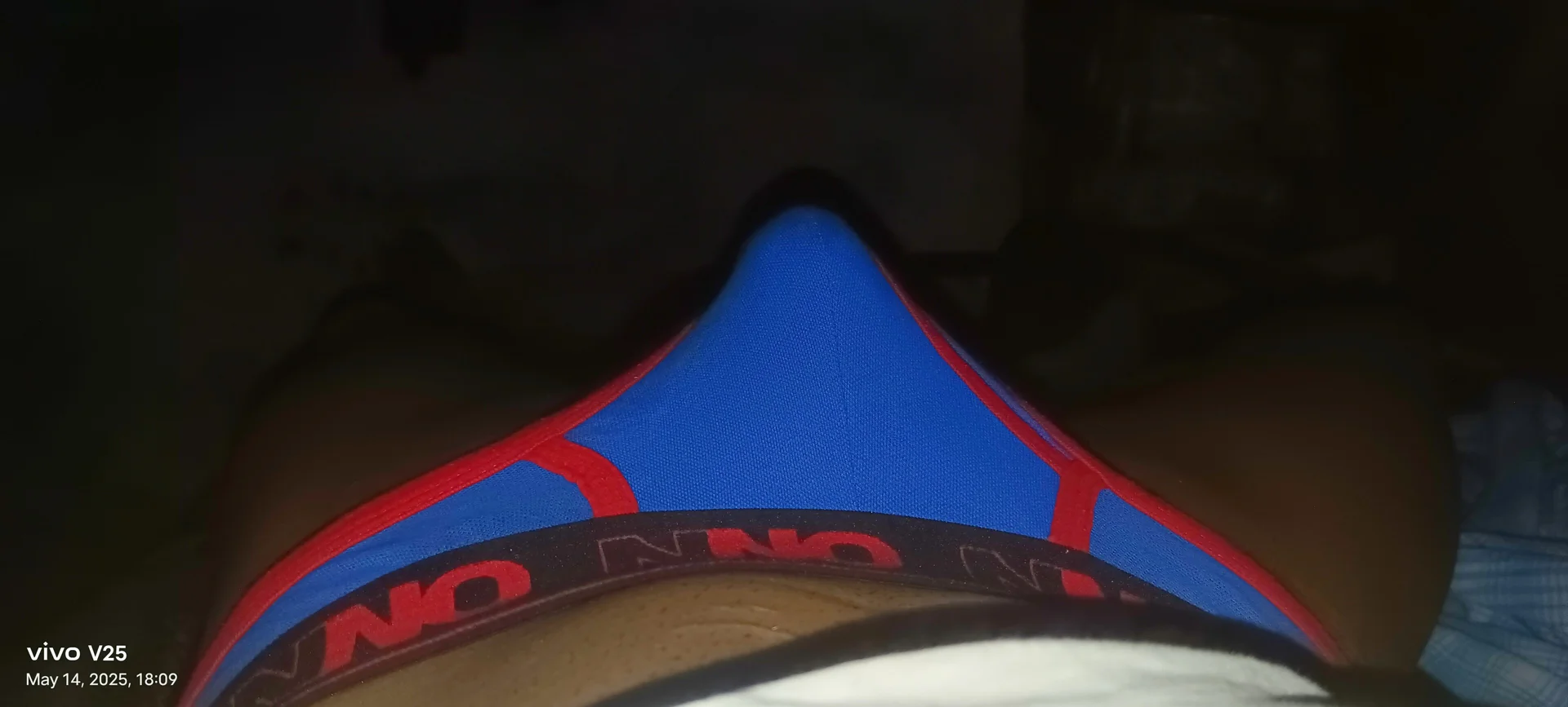 XXX Porn Photo of Nude Horlickss 3