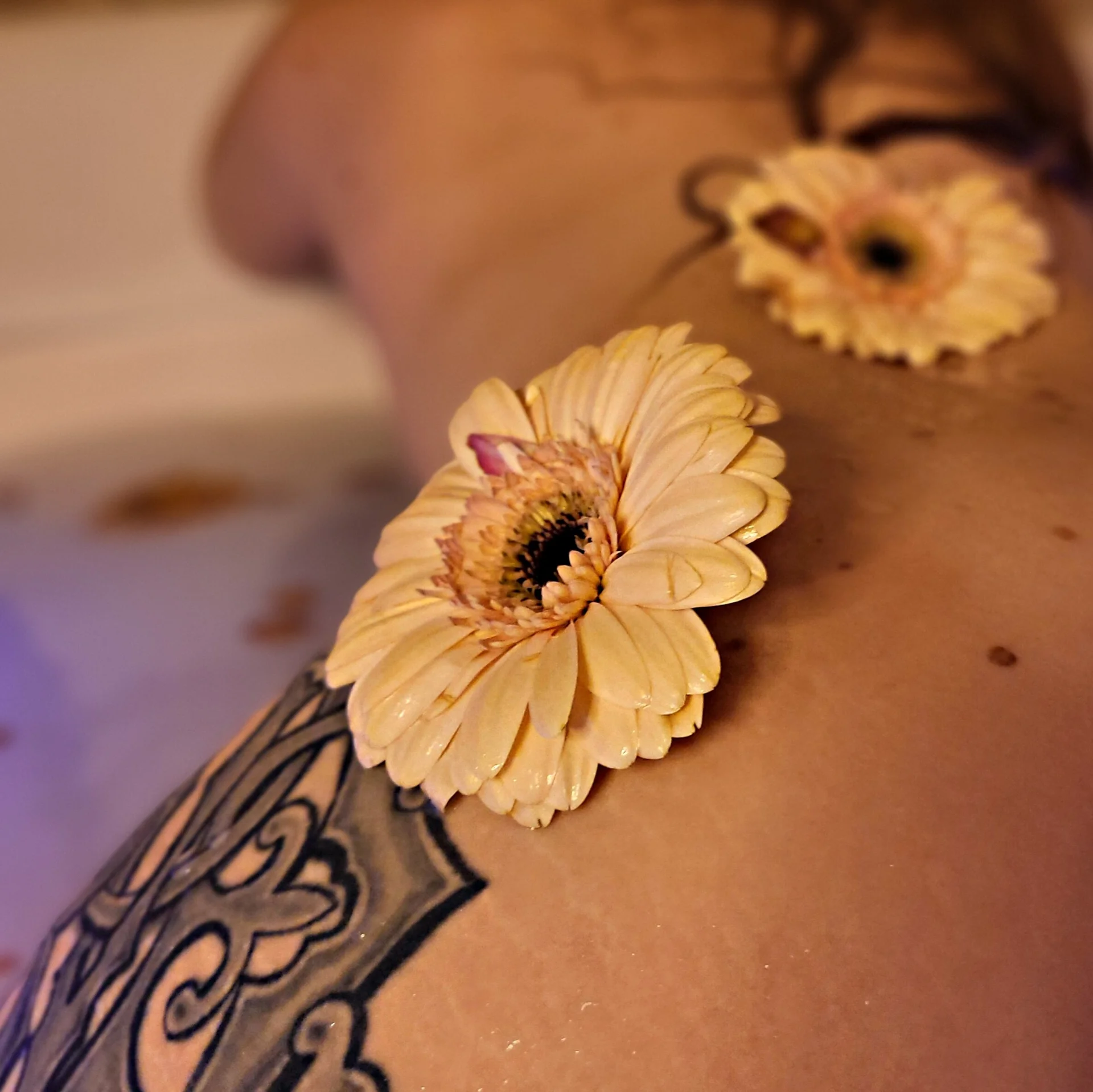 XXX Porn Photo of Nude Lyia_Ziggy 10