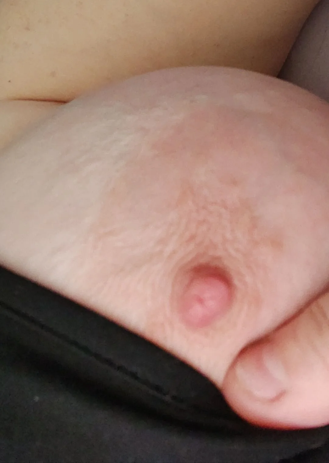 XXX Porn Photo of Nude poussychats 3