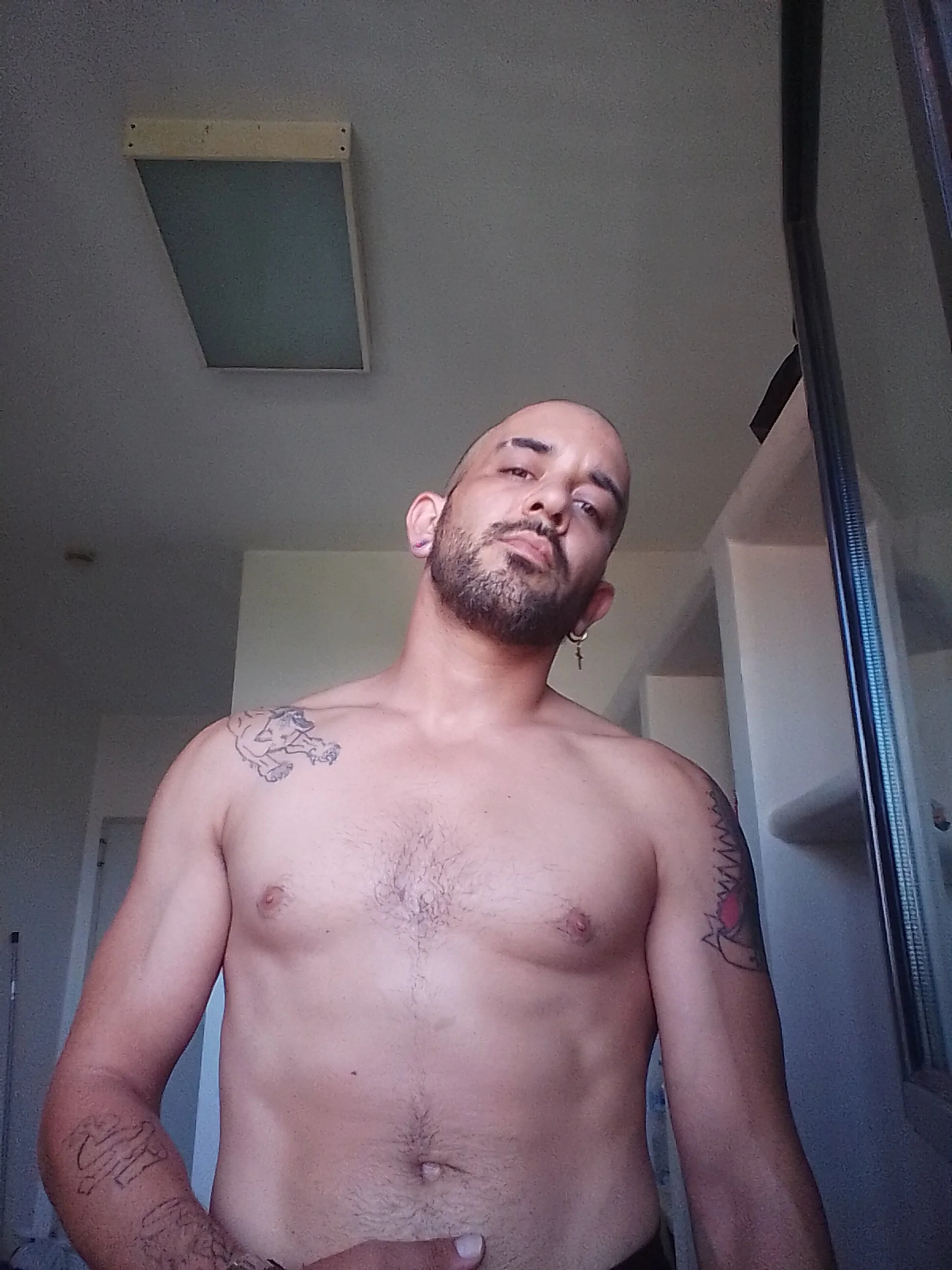 XXX Porn Photo of Nude PrisionBreak 3