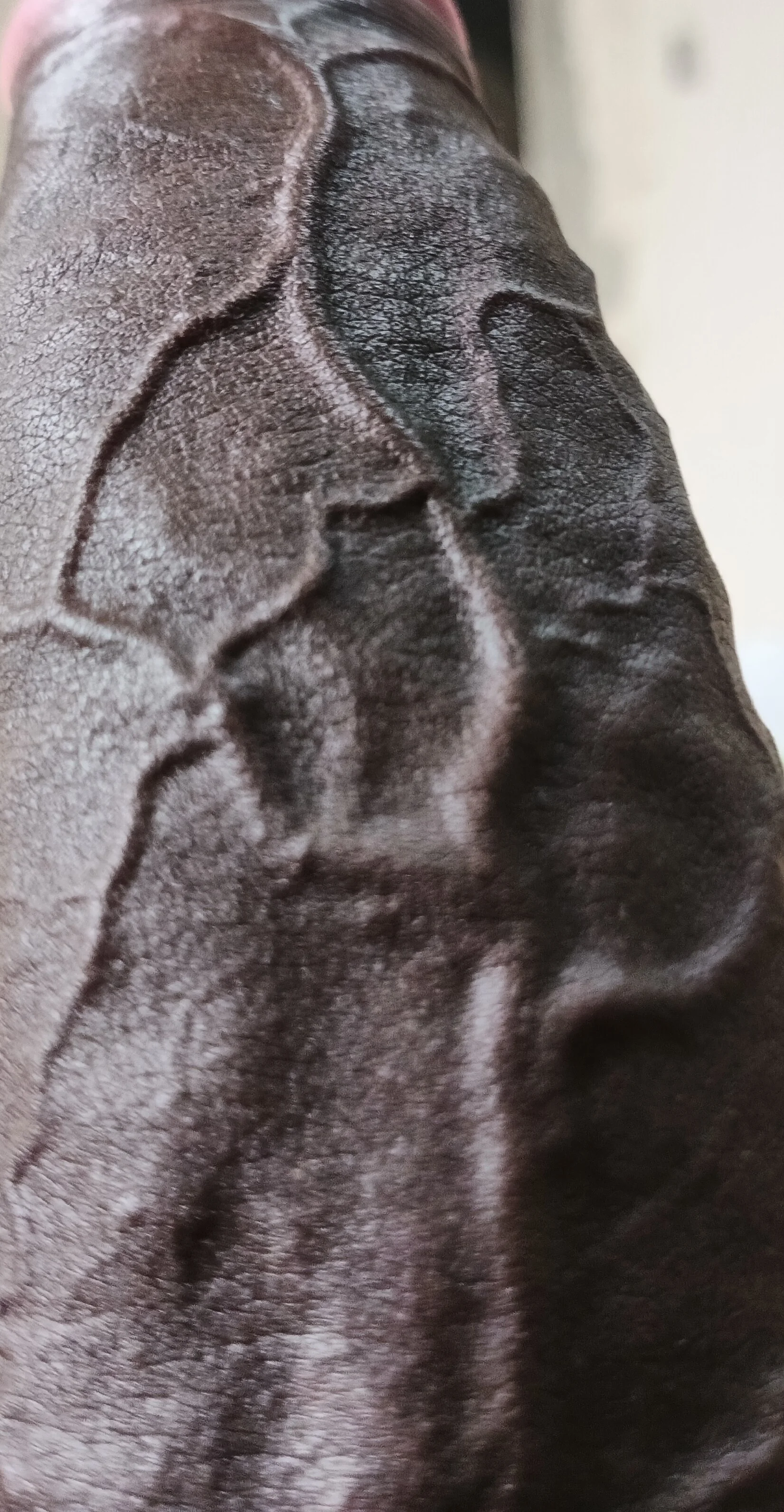 XXX Porn Photo of Nude KingBlack25cm 14
