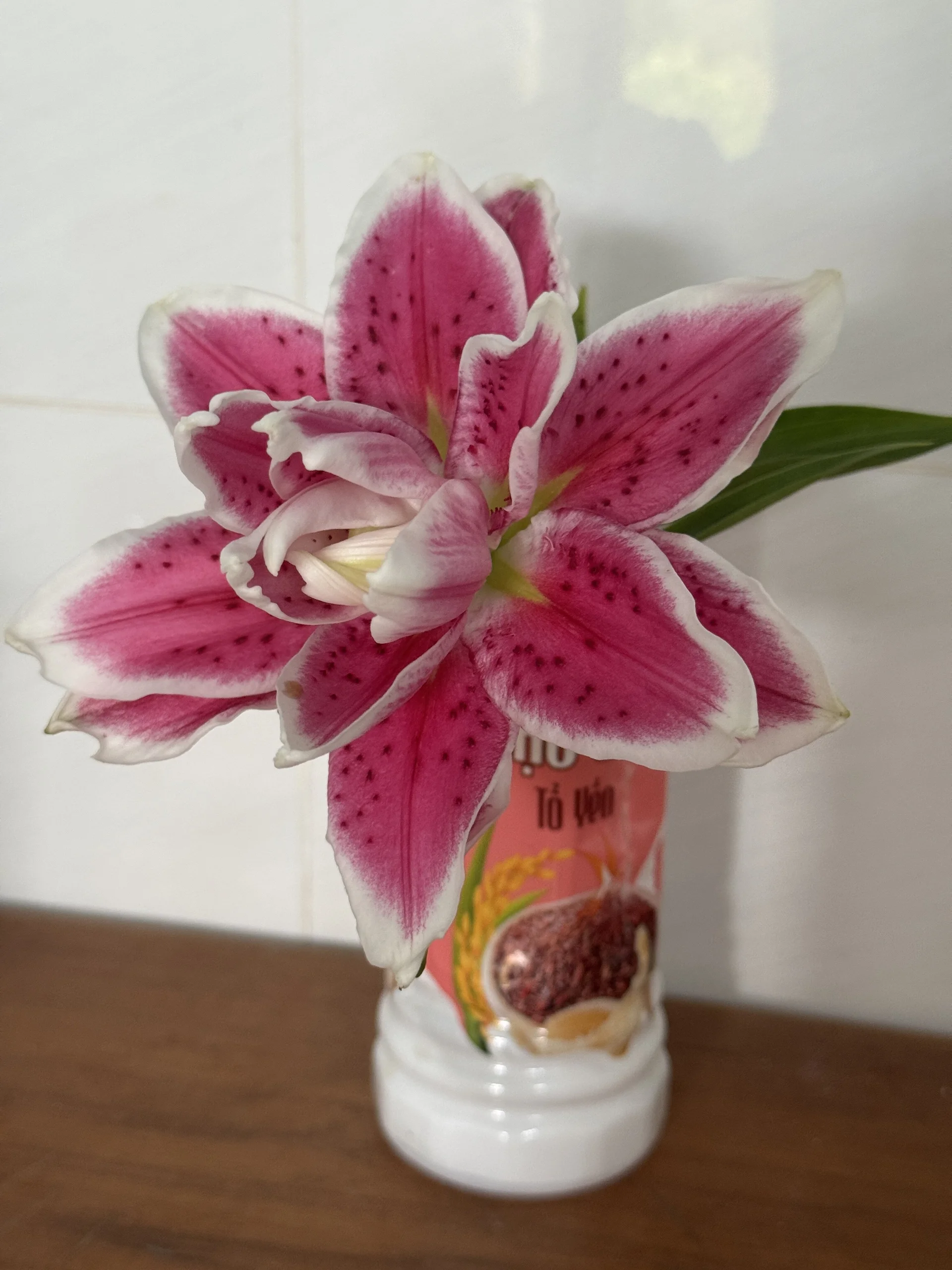 XXX Porn Photo of Nude Xaoxang 4