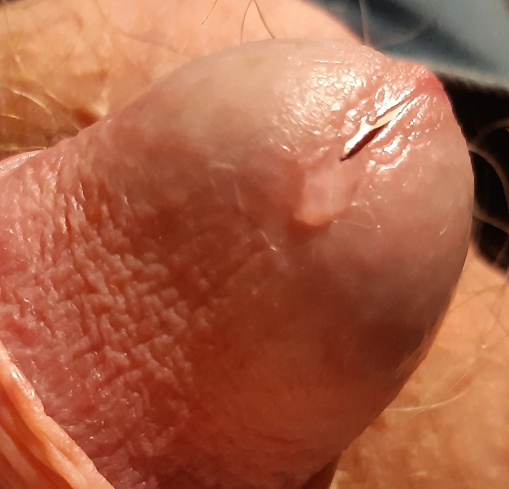 XXX Porn Photo of Nude mvd71 9