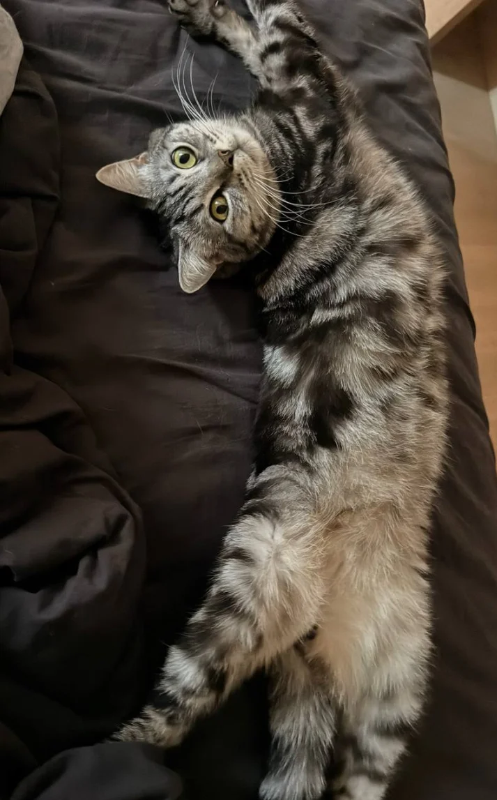 XXX Porn Photo of Nude LouiseChavez 537