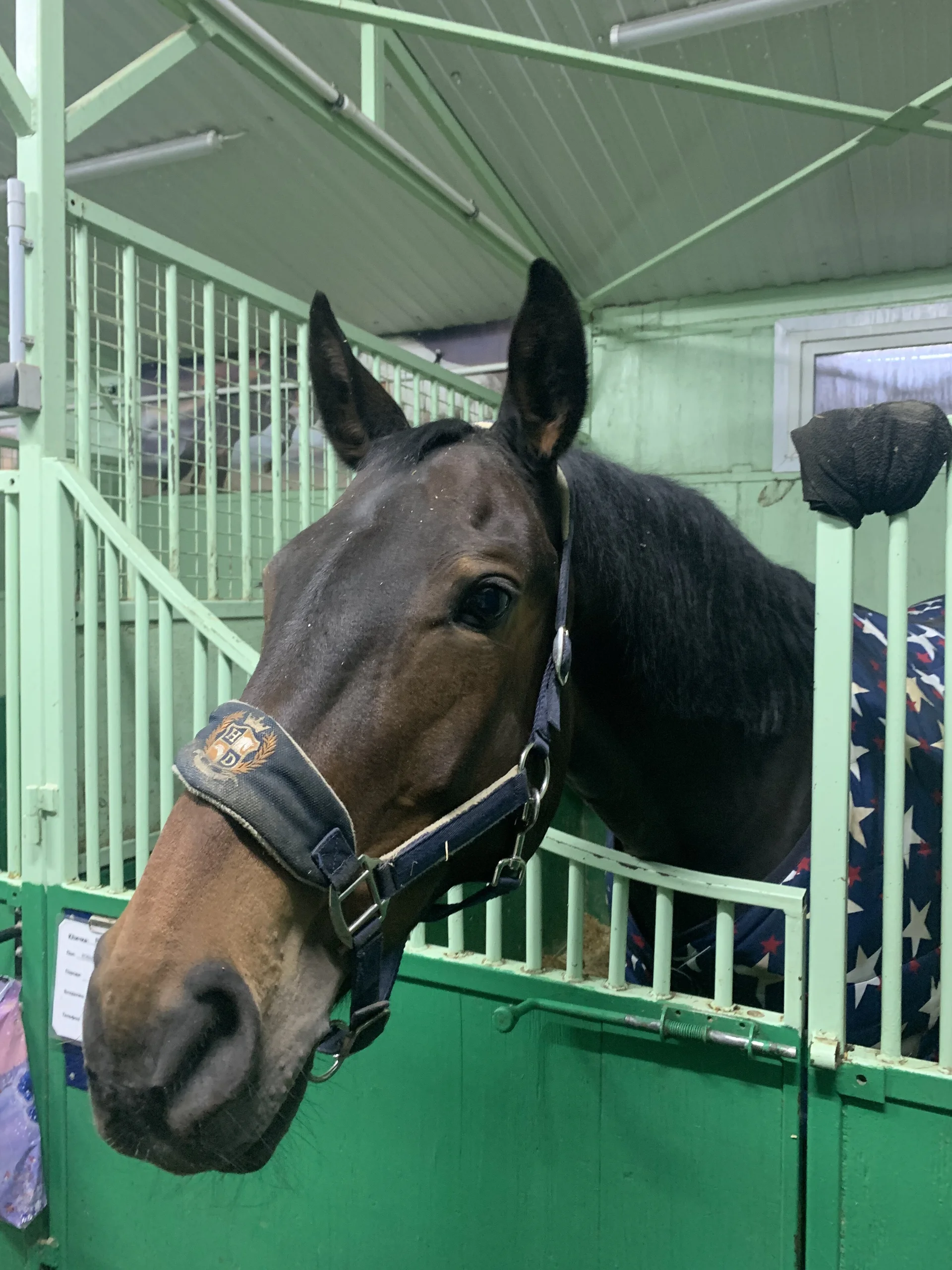 XXX Porn Photo of Nude Malena_Mi 39
