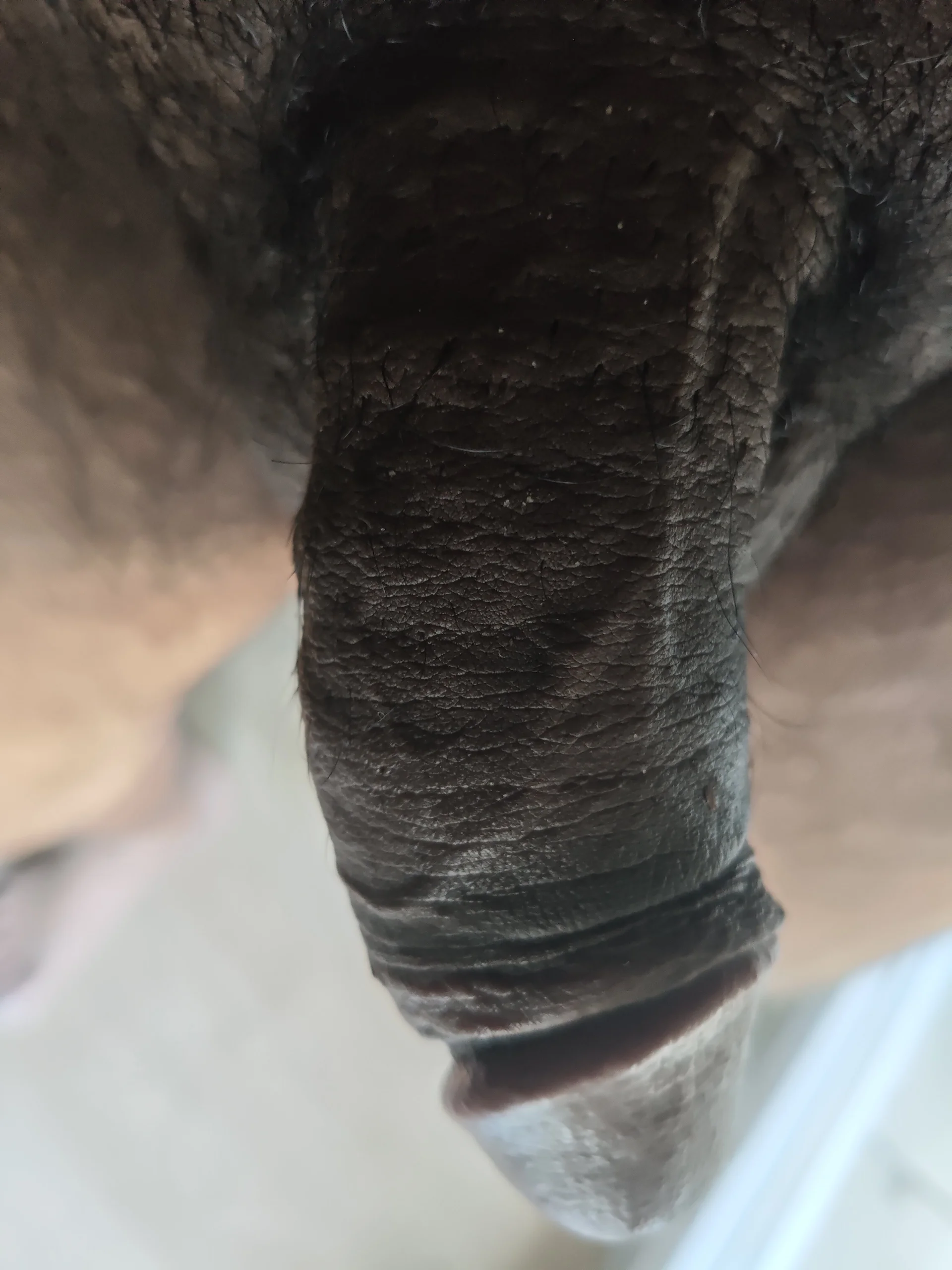 XXX Porn Photo of Nude samEuropt 9