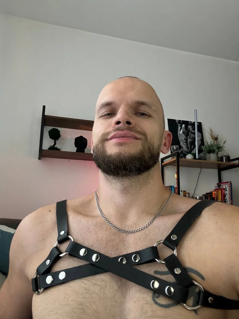 XXX Porn Photo of Nude MaxVant 3