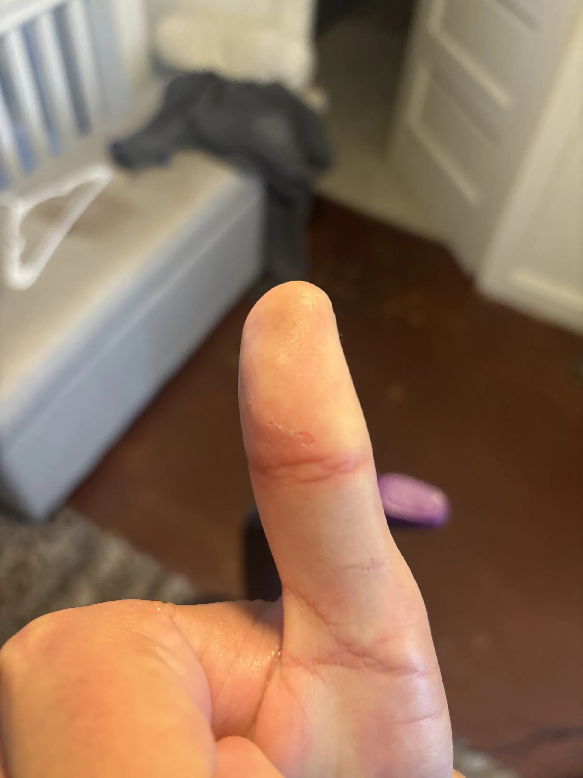XXX Porn Photo of Nude Hounddune27 31