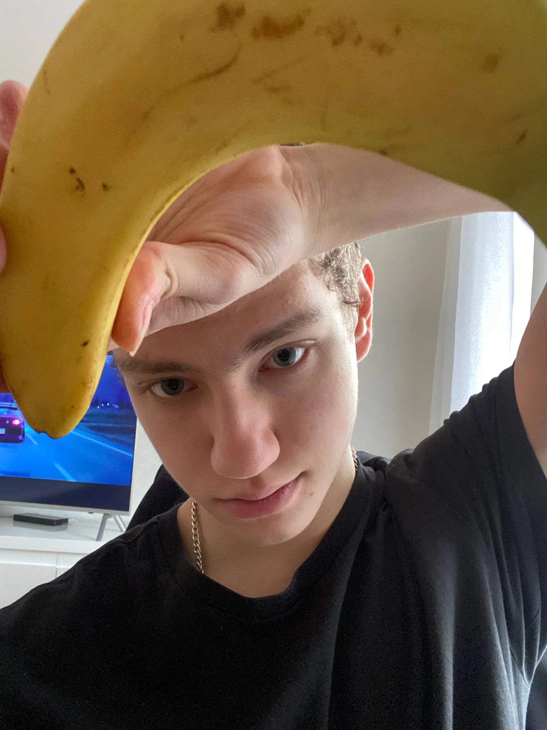 StefanBev