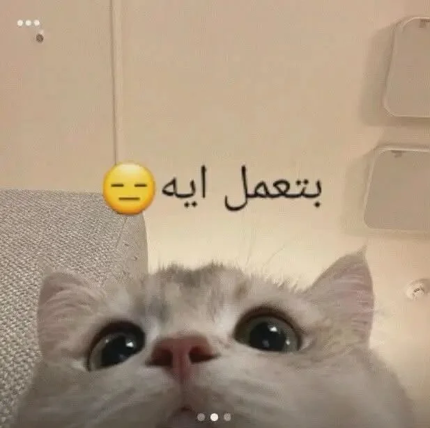 XXX Porn Photo of Nude Ahmedatr 3