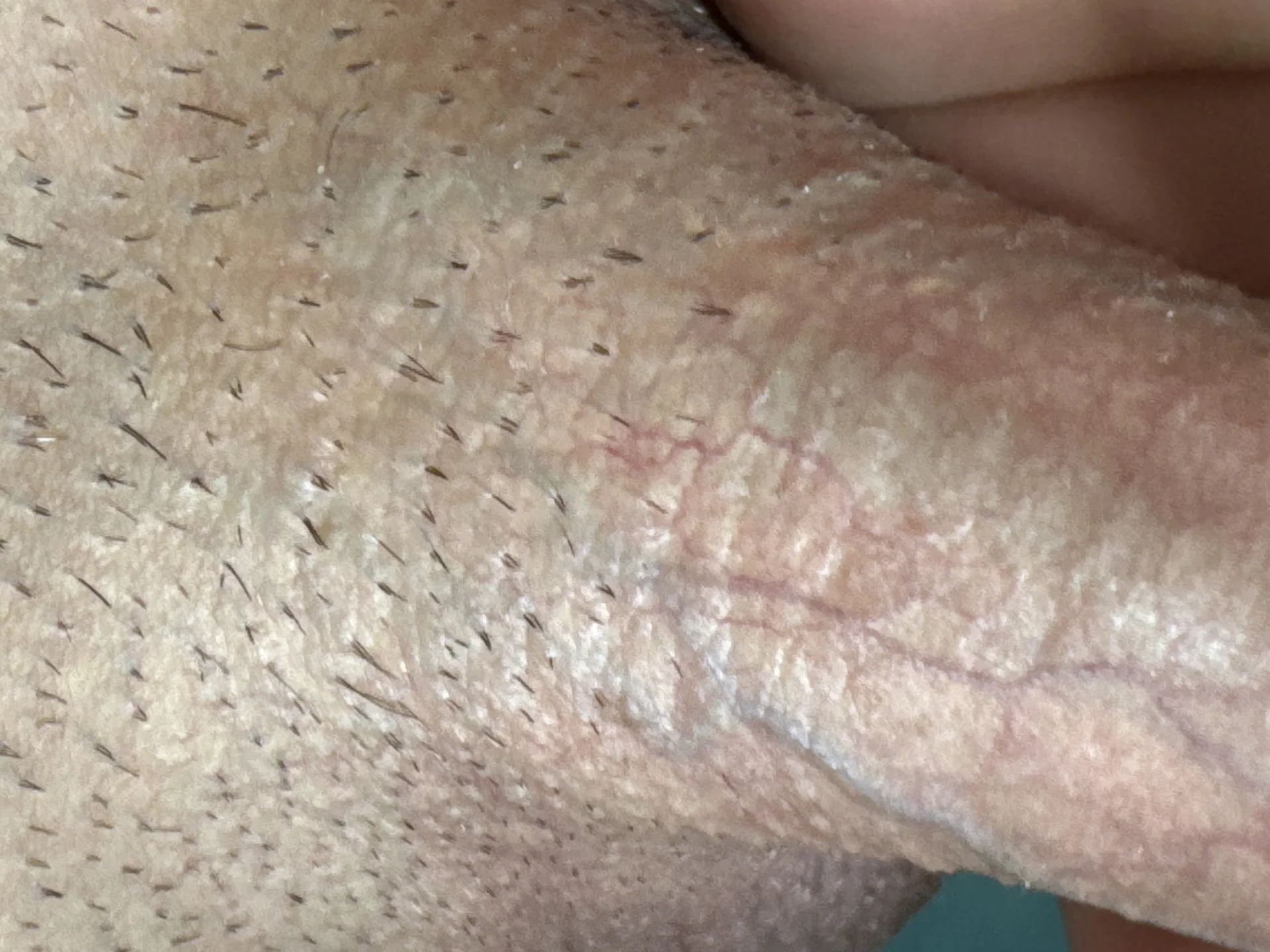 XXX Porn Photo of Nude soHardfull 7