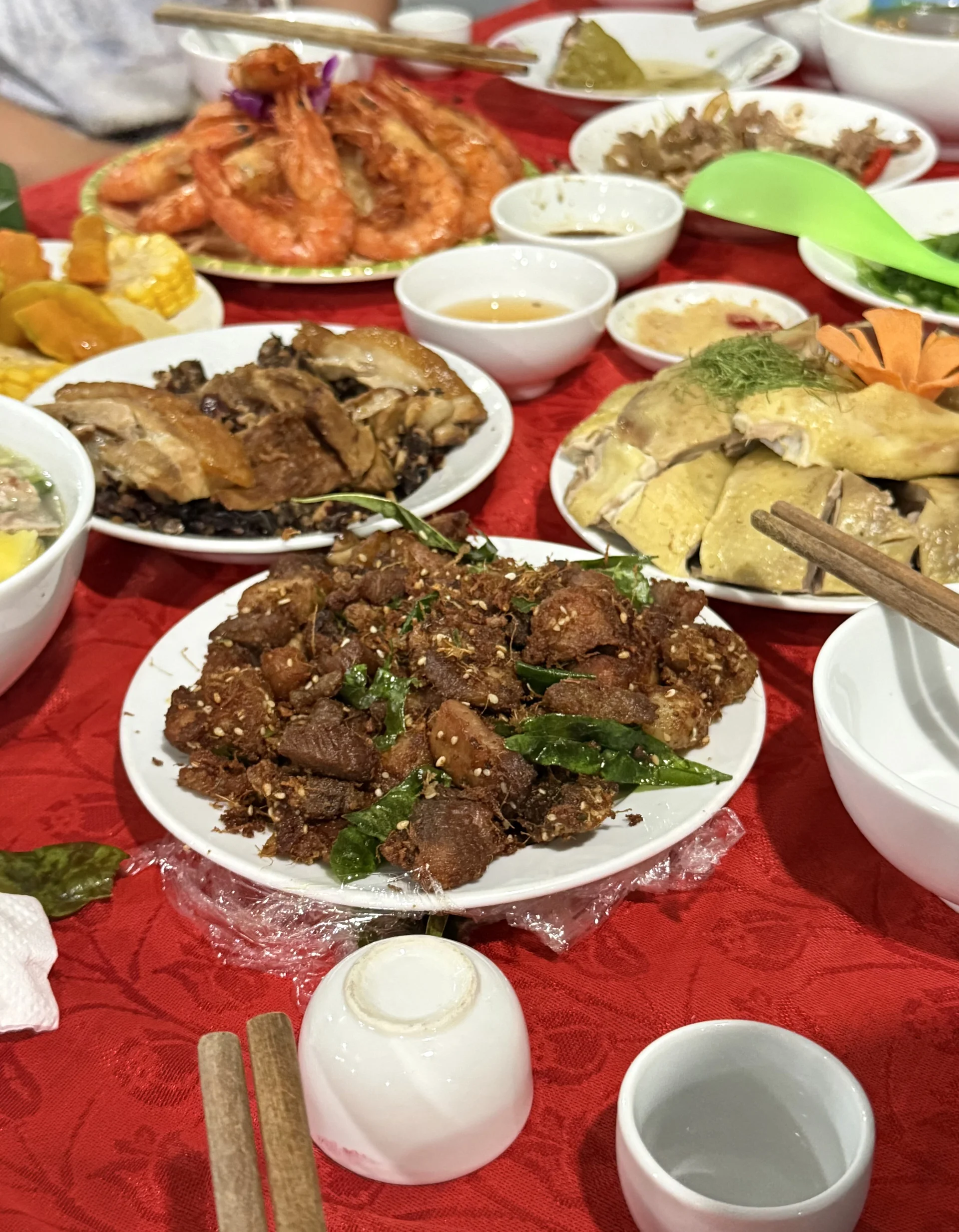 Hari_Bon