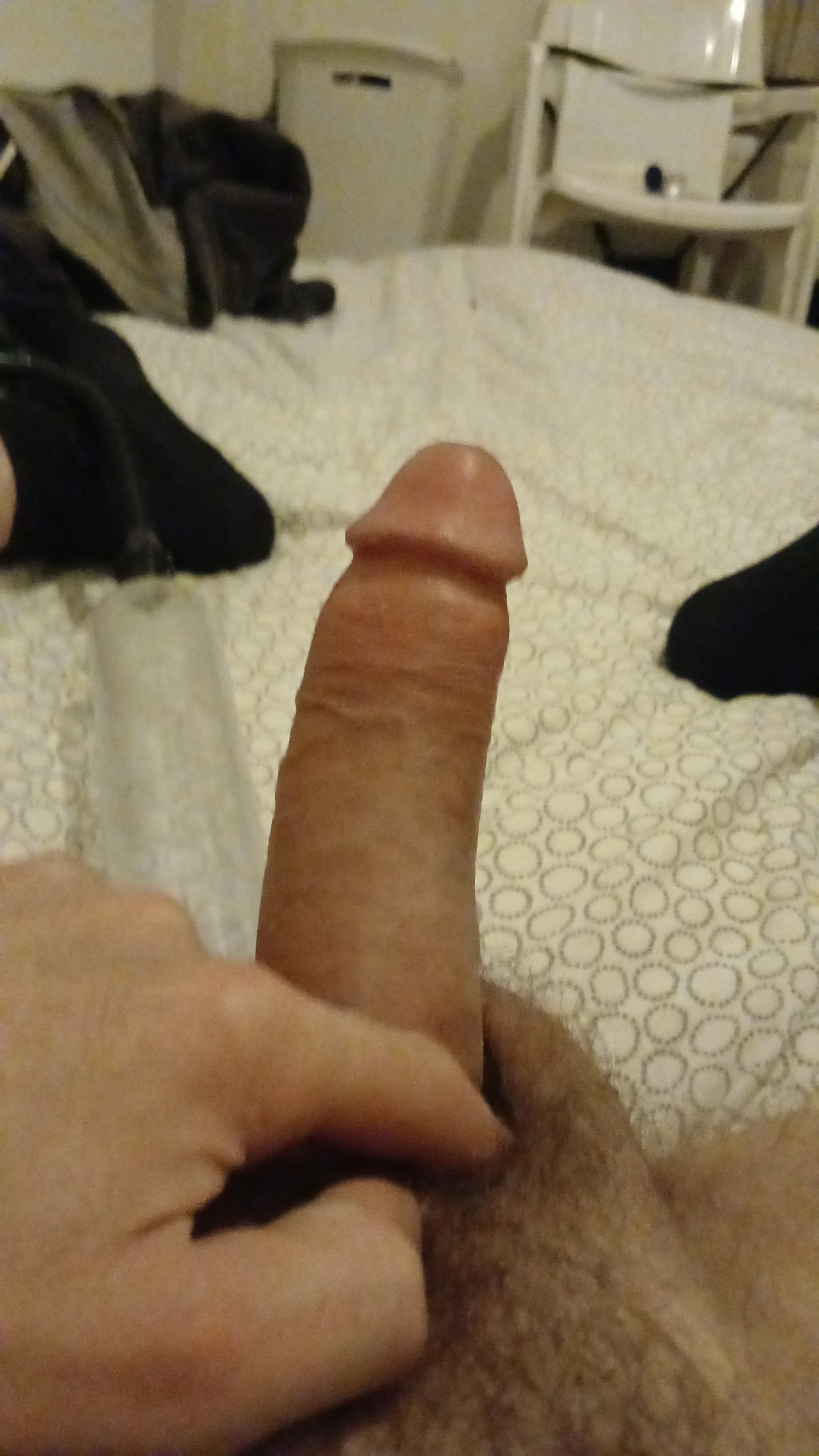 XXX Porn Photo of Nude handsome8inchh 10