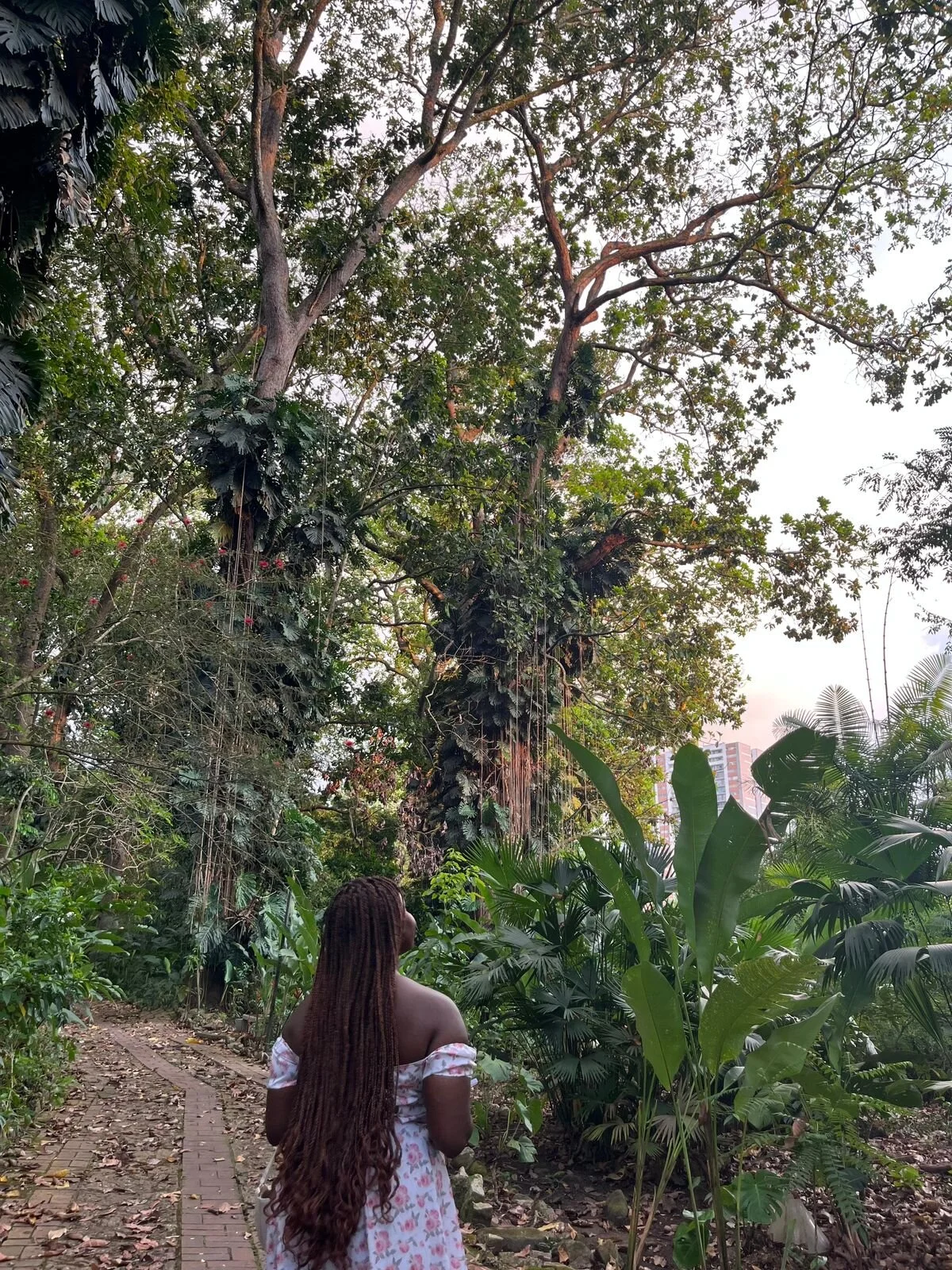 XXX Porn Photo of Nude Akanecox 10