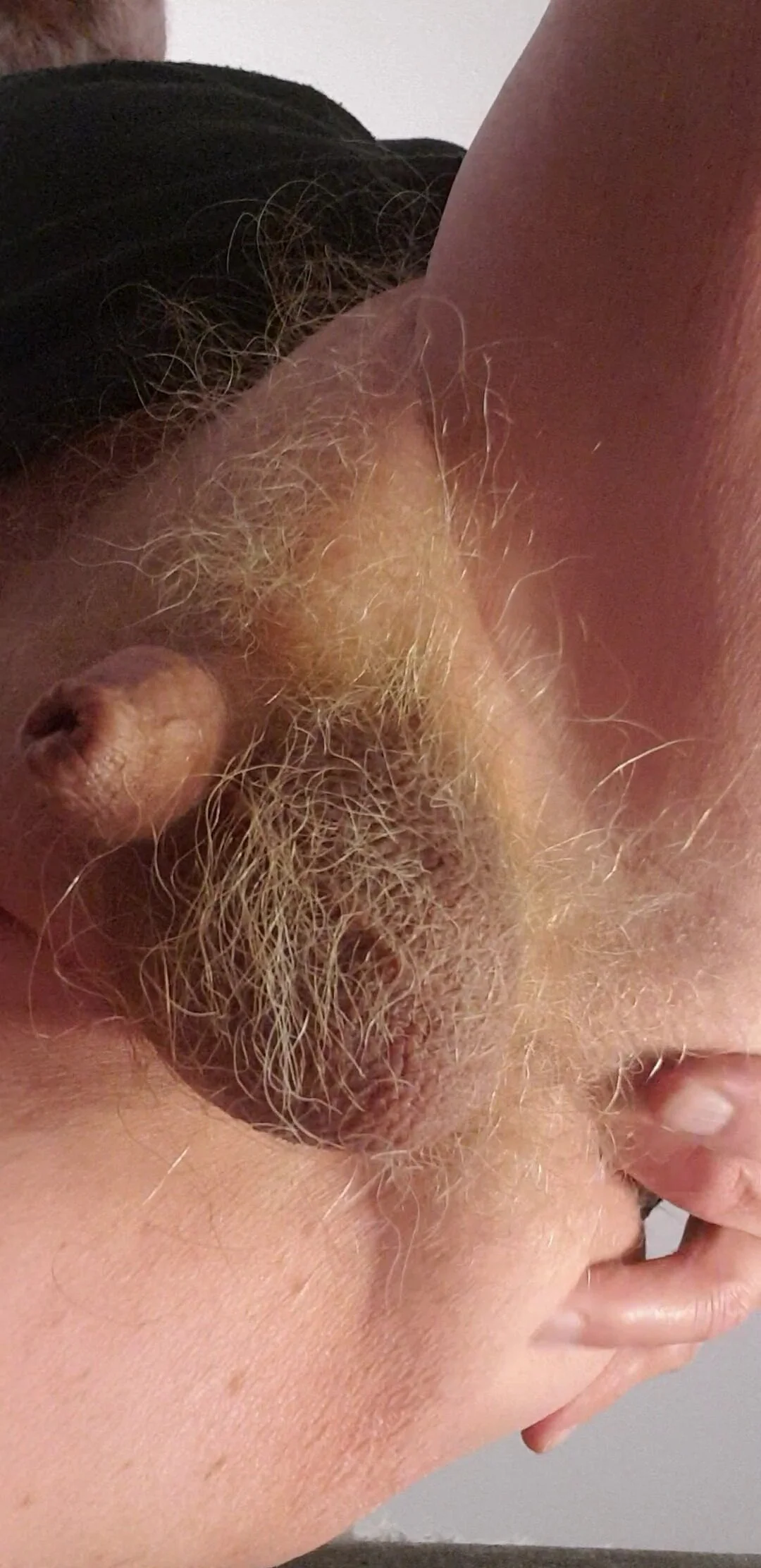 XXX Porn Photo of Nude Redhairy4u 63