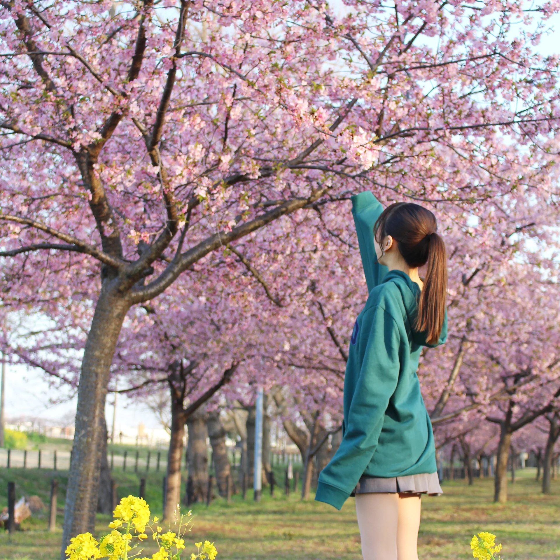 riken_jp