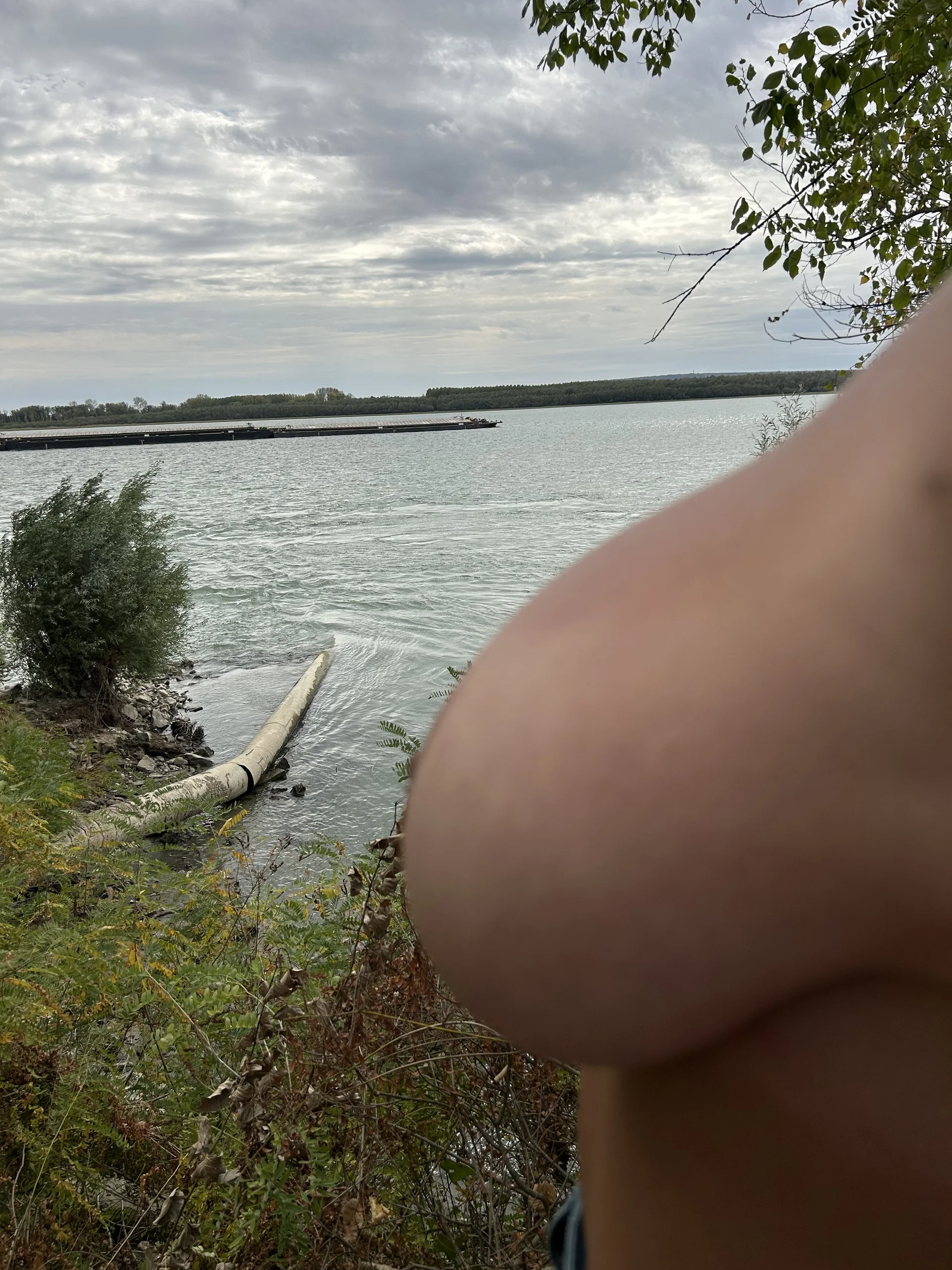 XXX Porn Photo of Nude MikyVesela 143