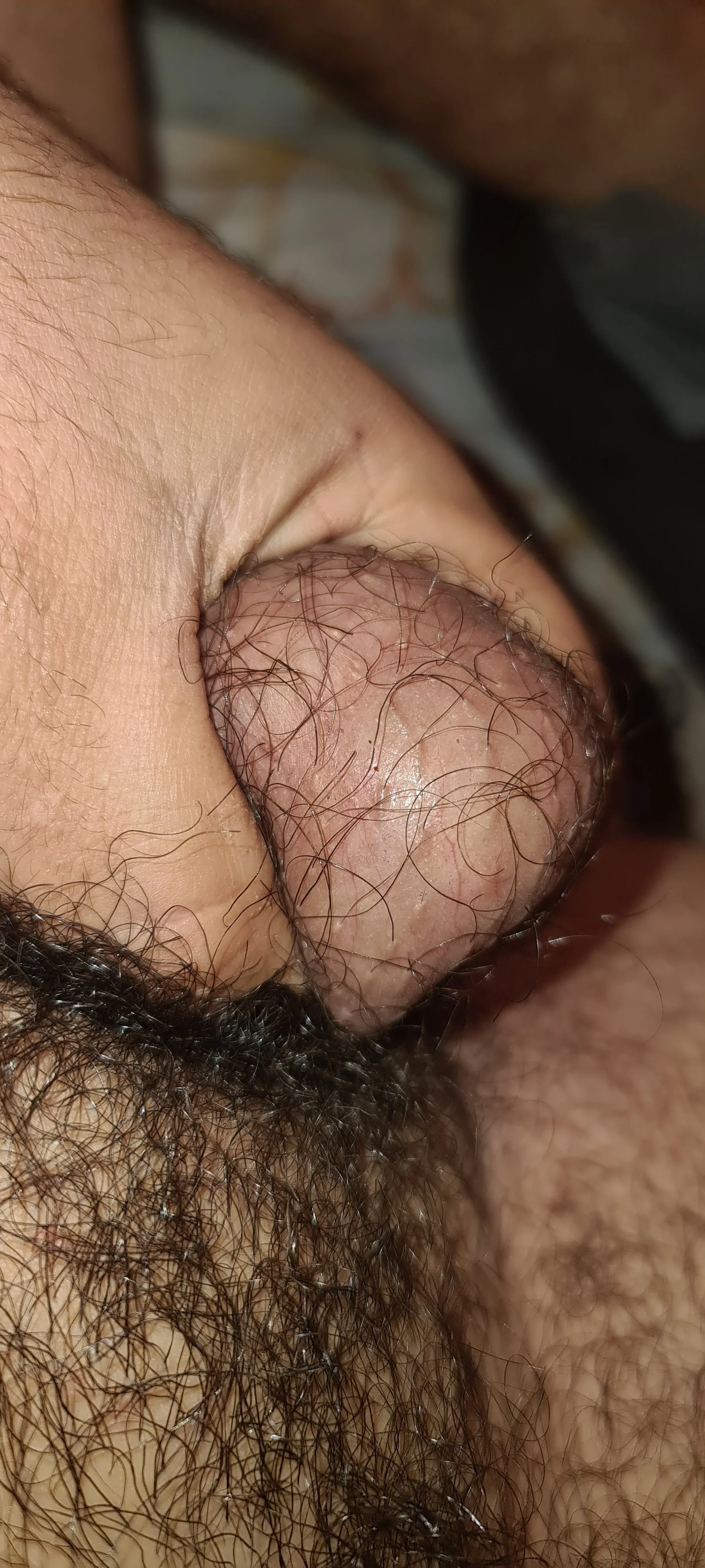 XXX Porn Photo of Nude wolfrot123 9