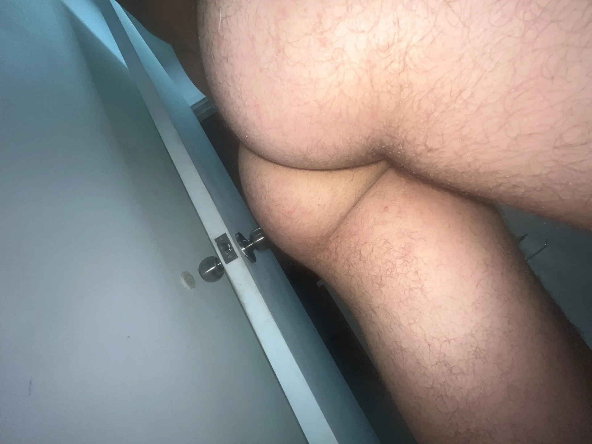 alej2x4