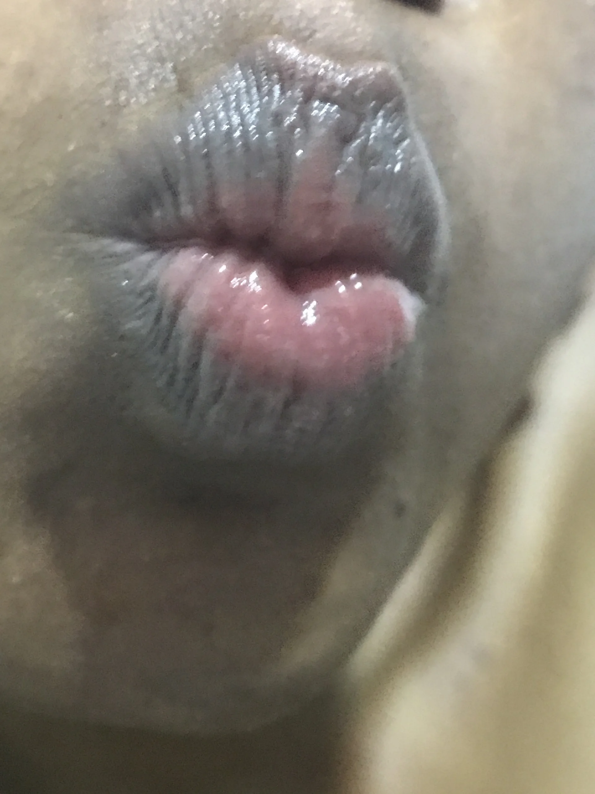 XXX Porn Photo of Nude De_maskedcouple 3
