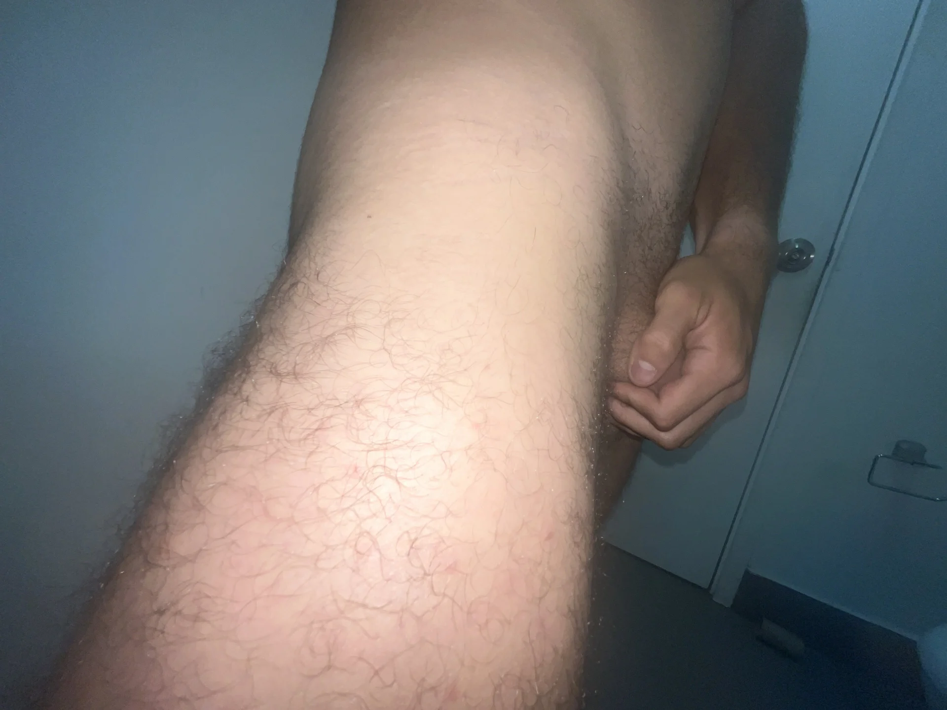 alej2x4