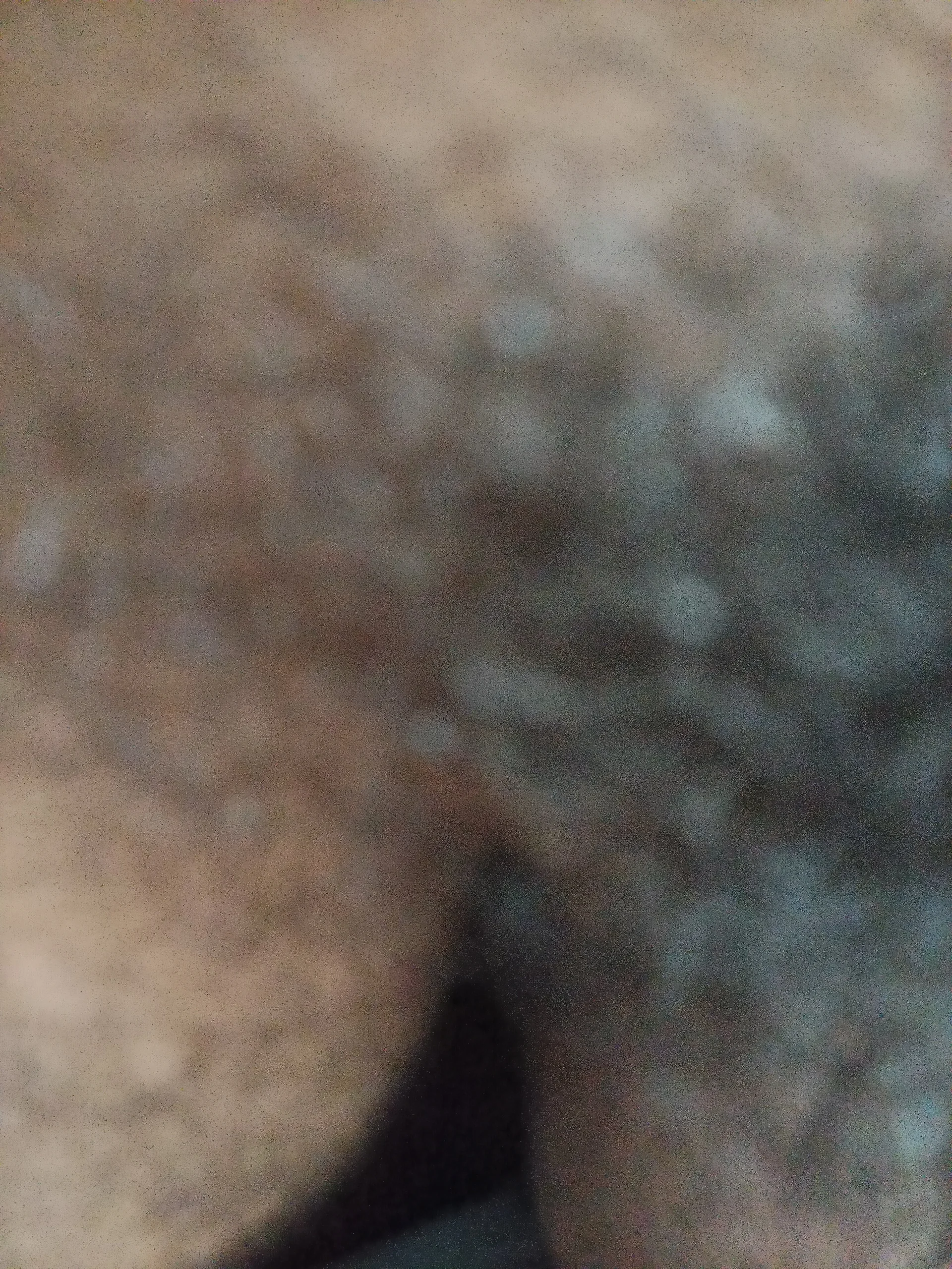 Rohit657600